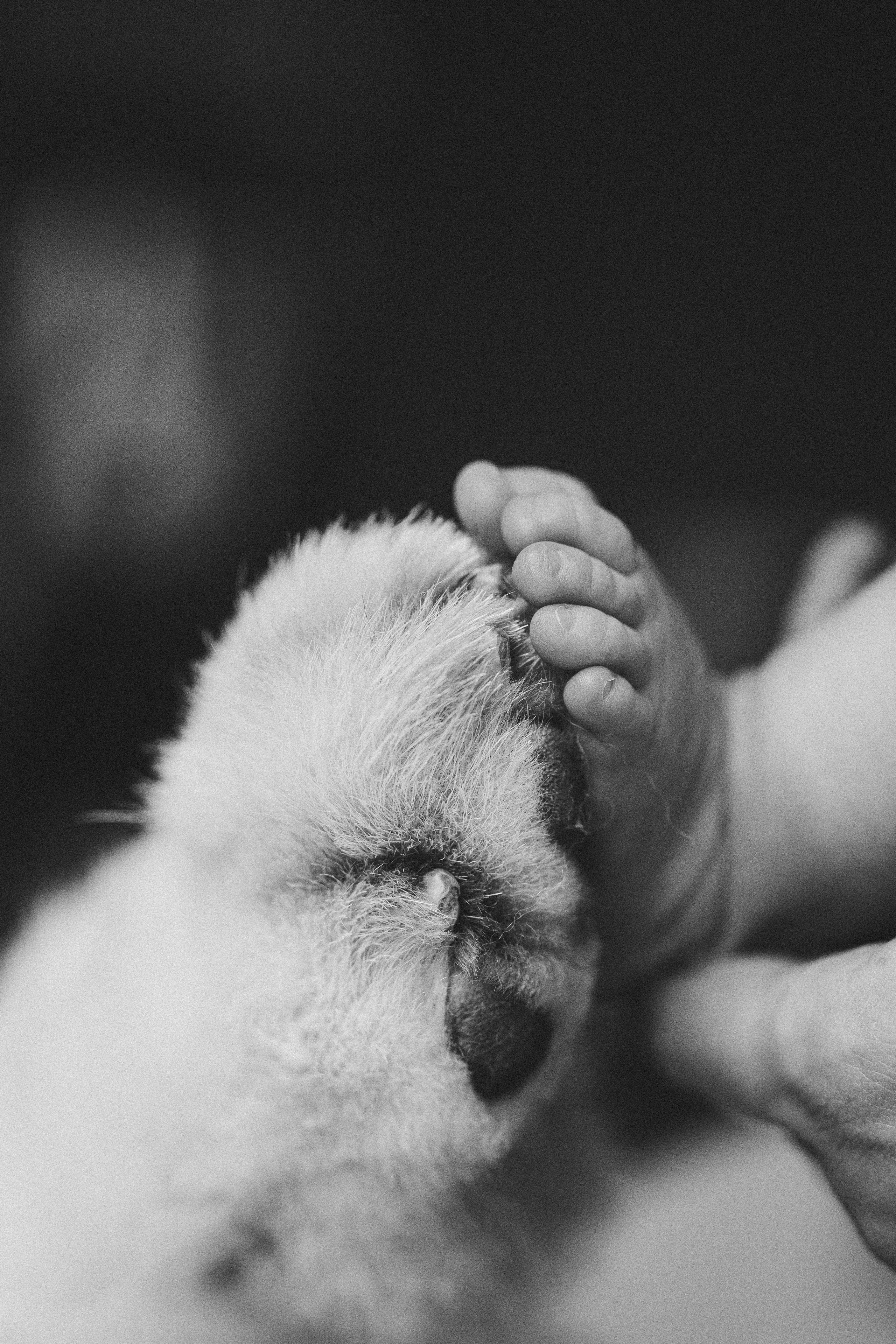 Василиса. Евгения Пелипас