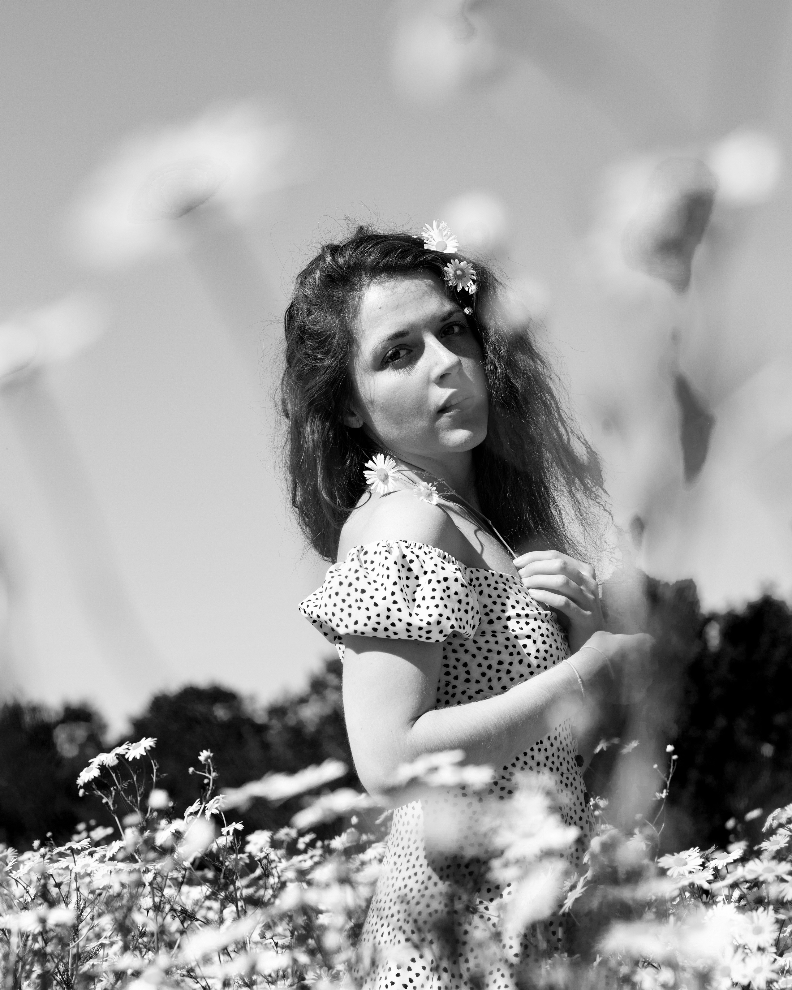 ЧБ ромашки. Портретный фотограф Екатерина Лысенко, Москва