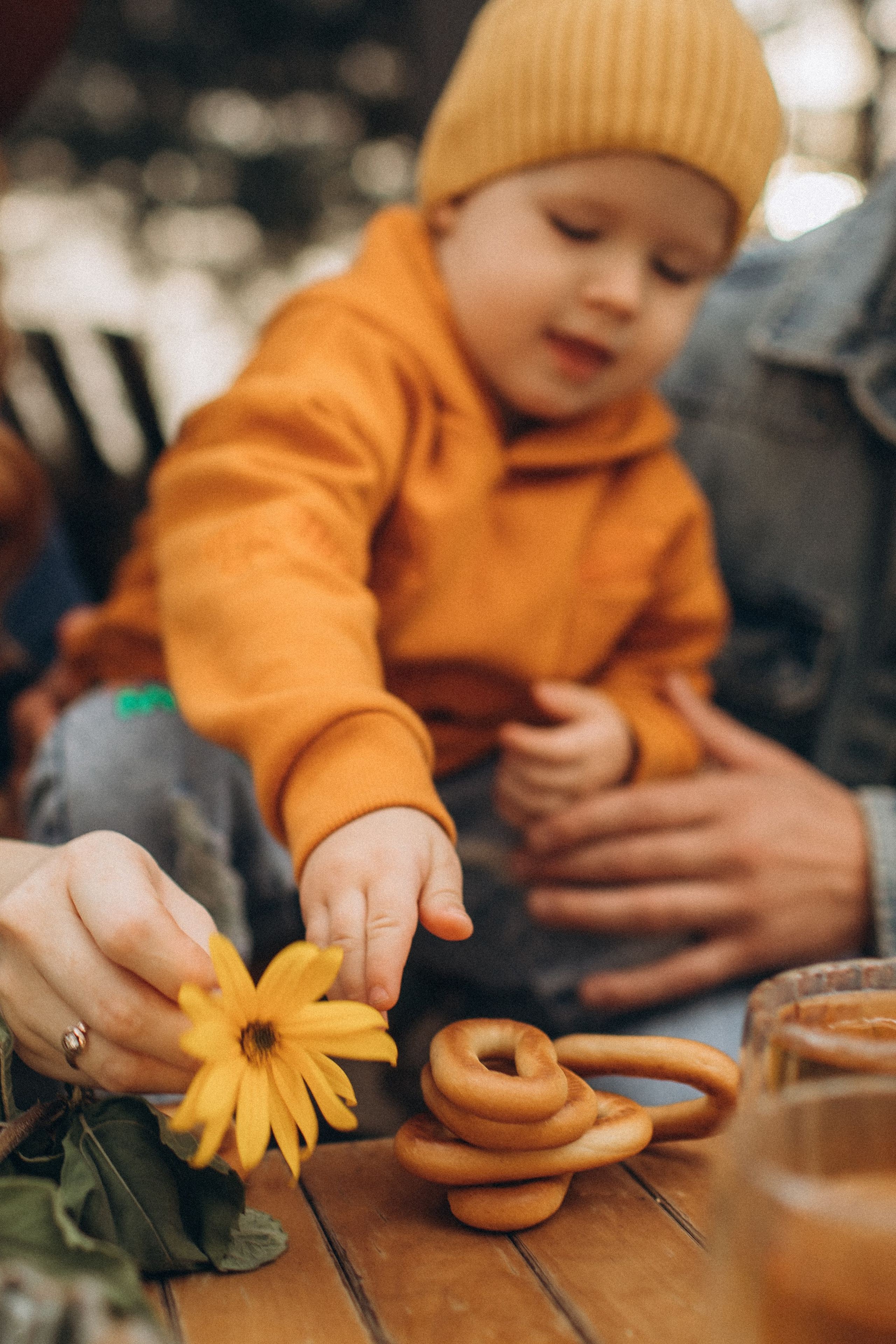 Виктория с семьёй. Семейный фотограф в Москве и Московской области Лазутина Валентина