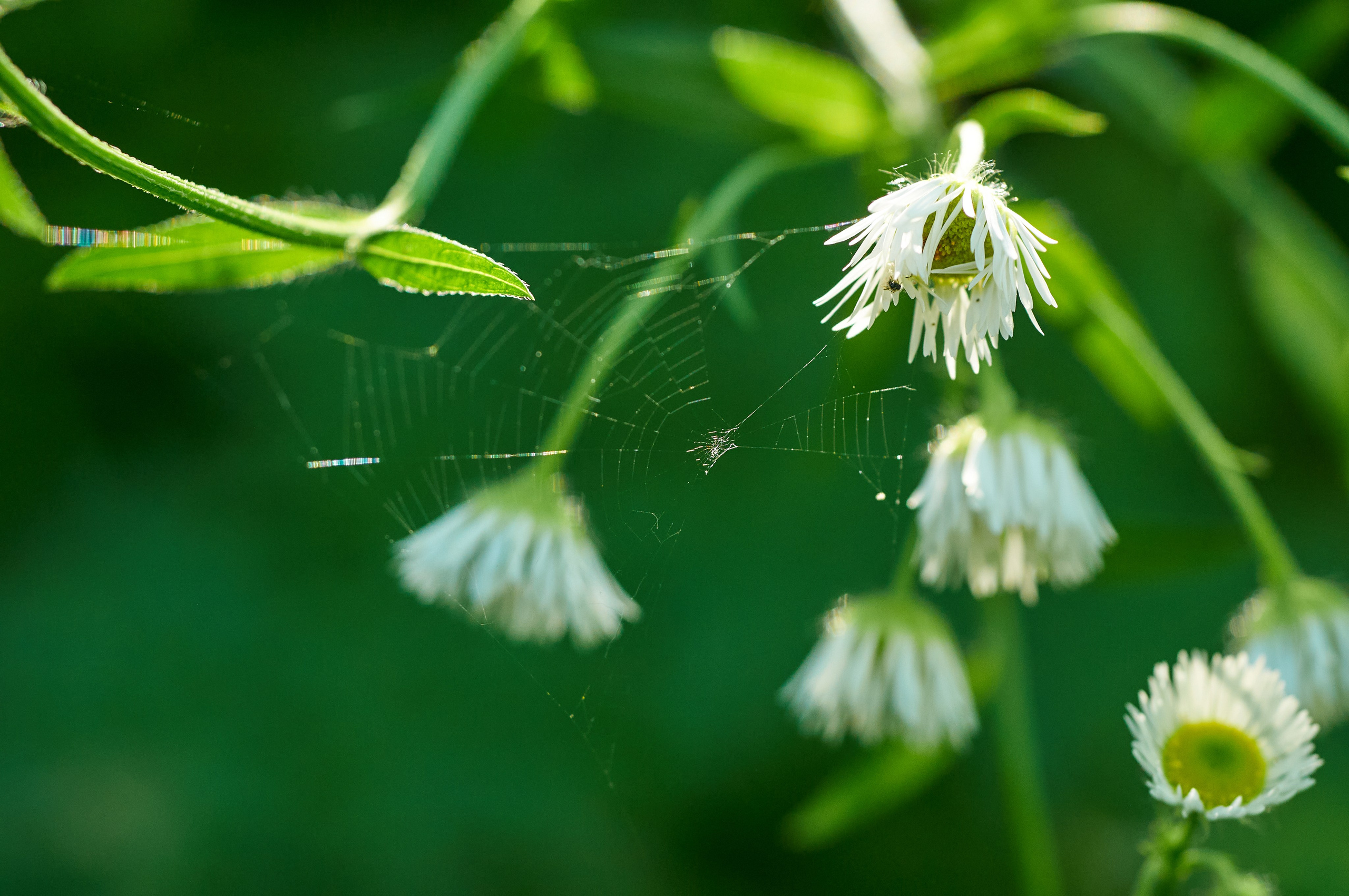 Искусство пейзажа: гармония природы в фотографиях. Координаты красоты — география в фокусе