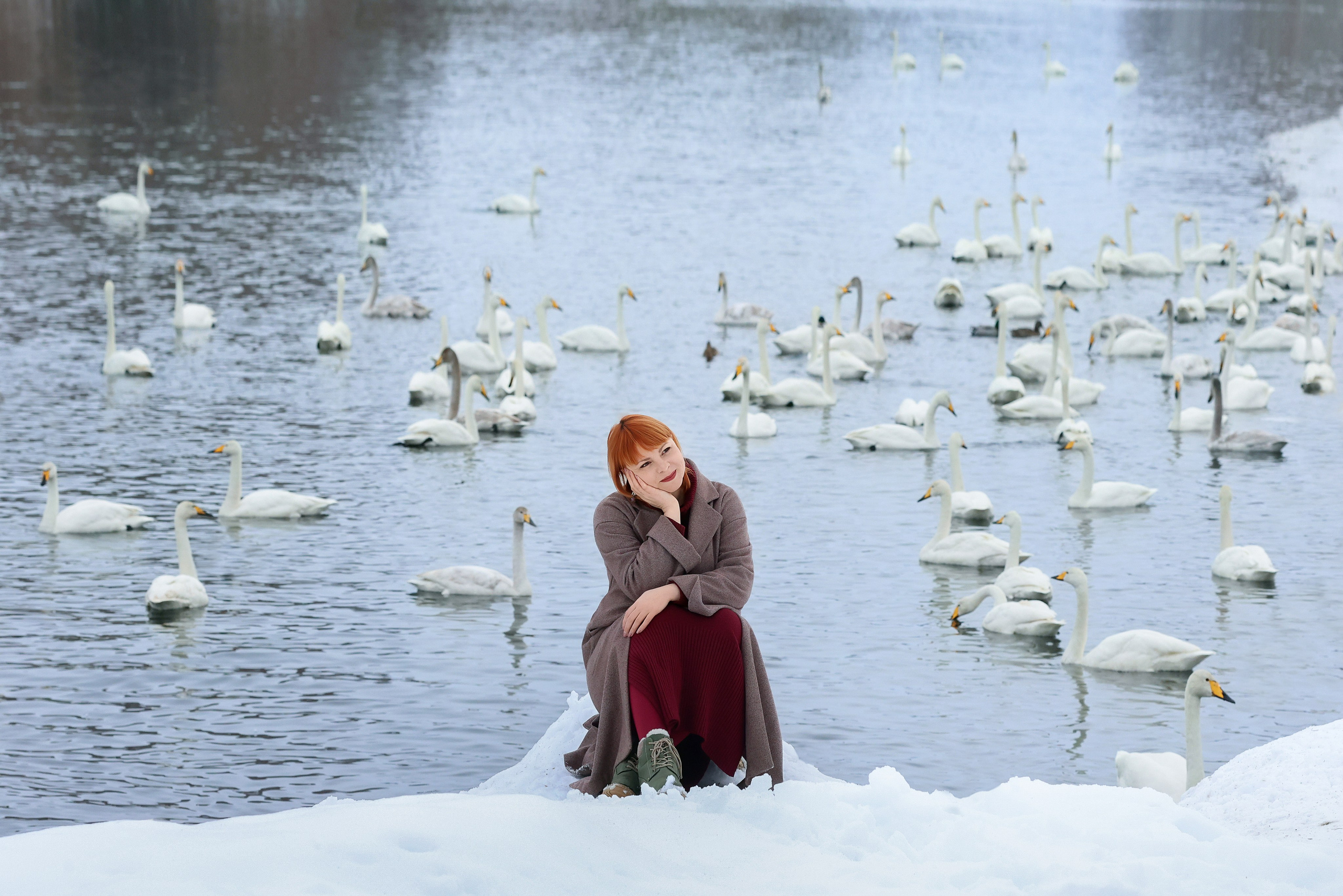 Лебединое озеро. Сказочный фотограф фотопроекты фототуры в Новосибирске и на Алтае