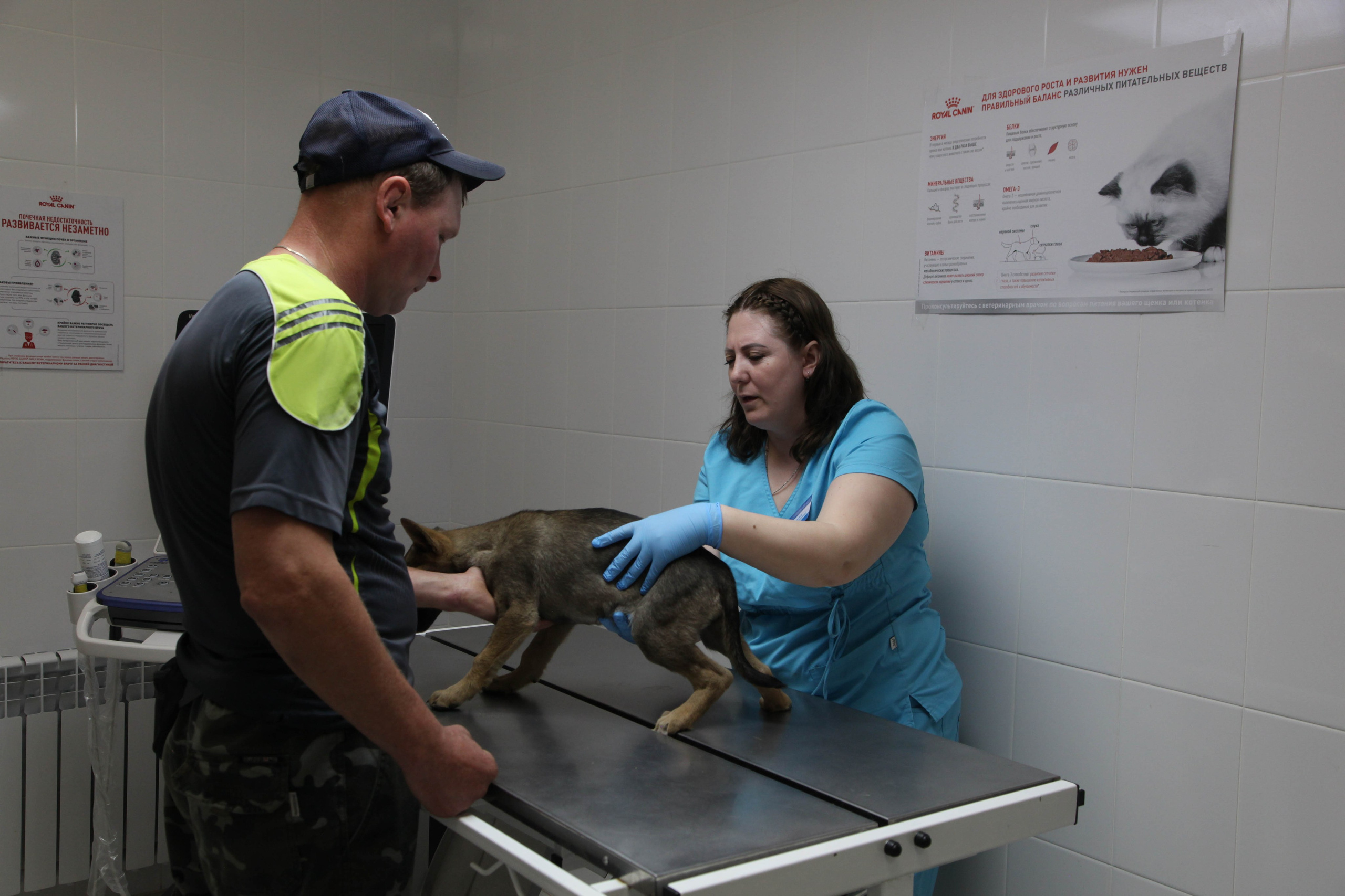 Доброе сердце. Полина Трель