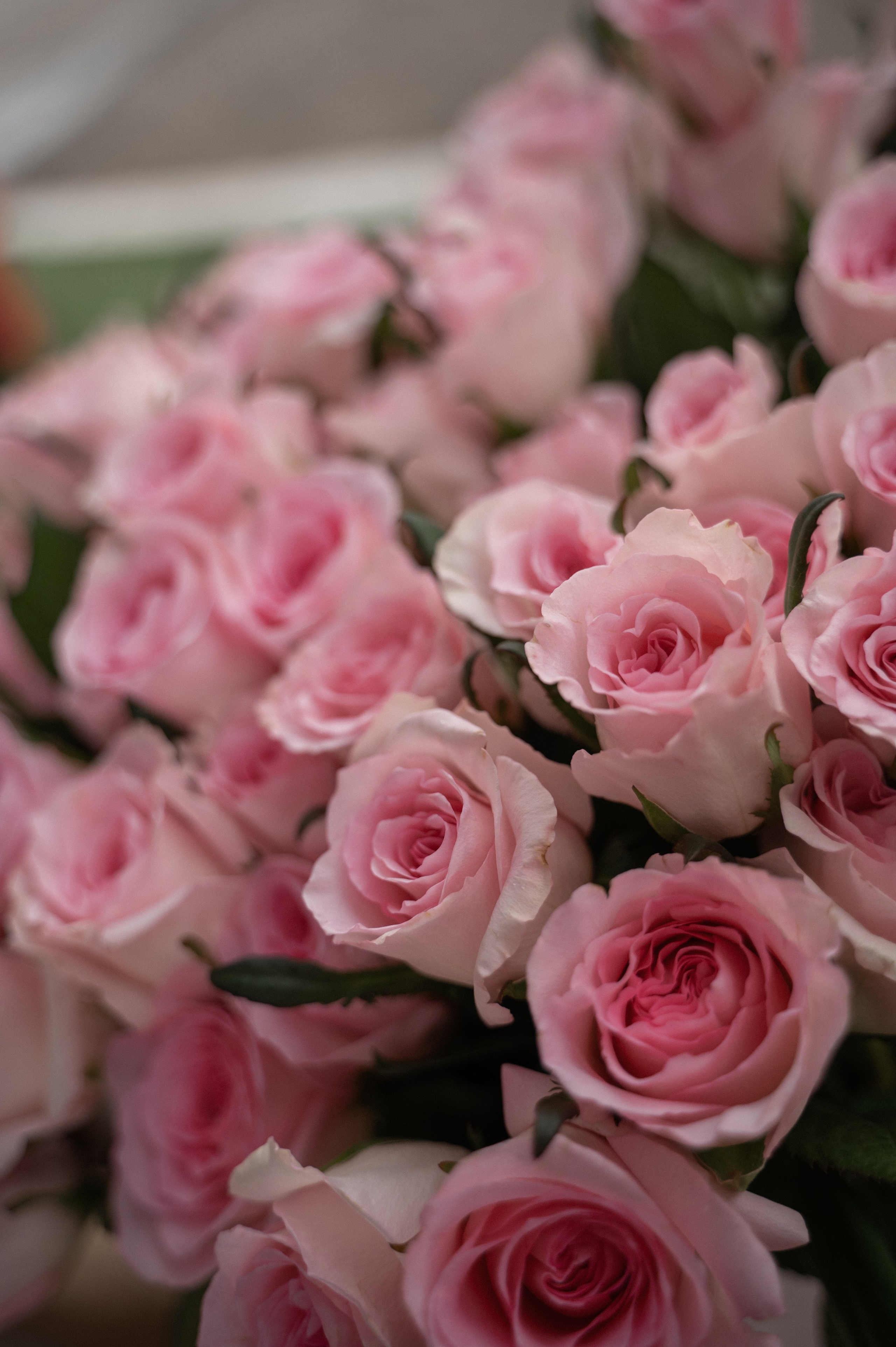 Мероприятия. ФОТОГРАФ/РУДНЫЙ/КОСТАНАЙ