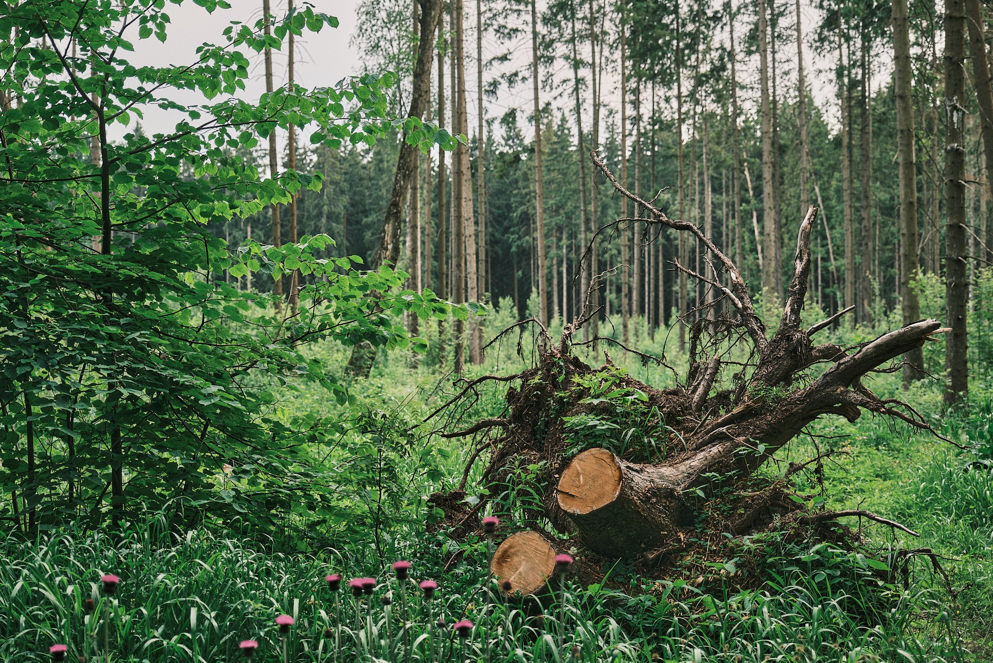 Фотоальбом с разными съёмками