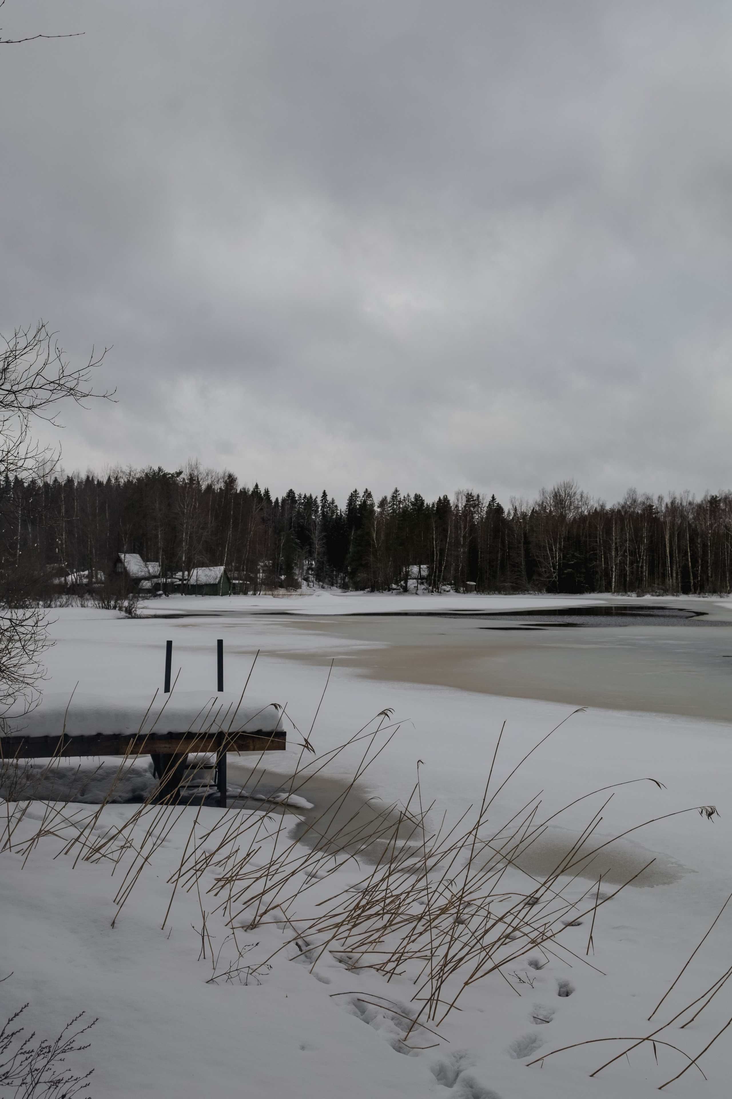 Природа &. Фотохудожник в СПб