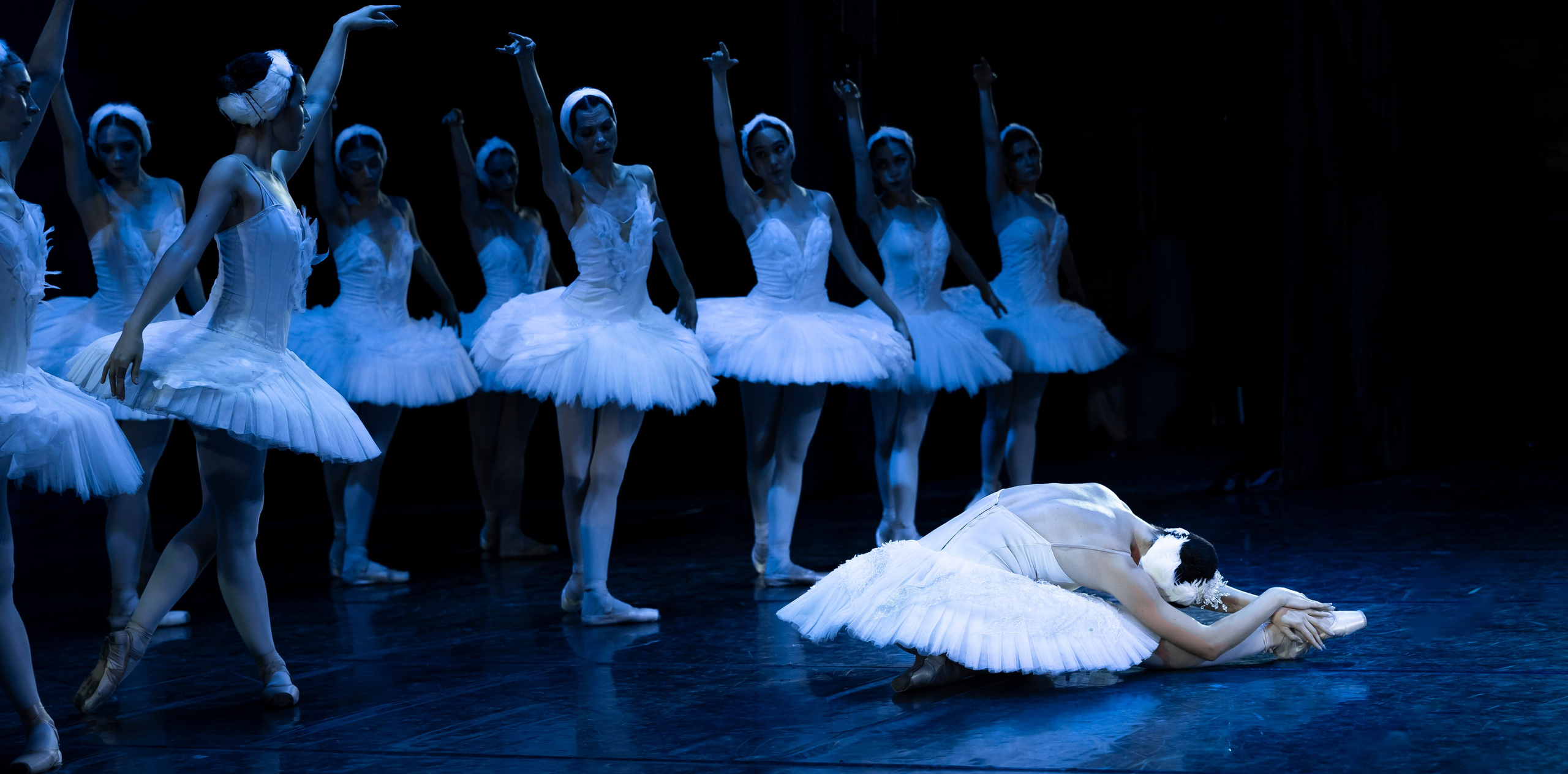 Лебединое озеро для Летних балетных сезонов. Балетный фотограф Москва Майоров Николай