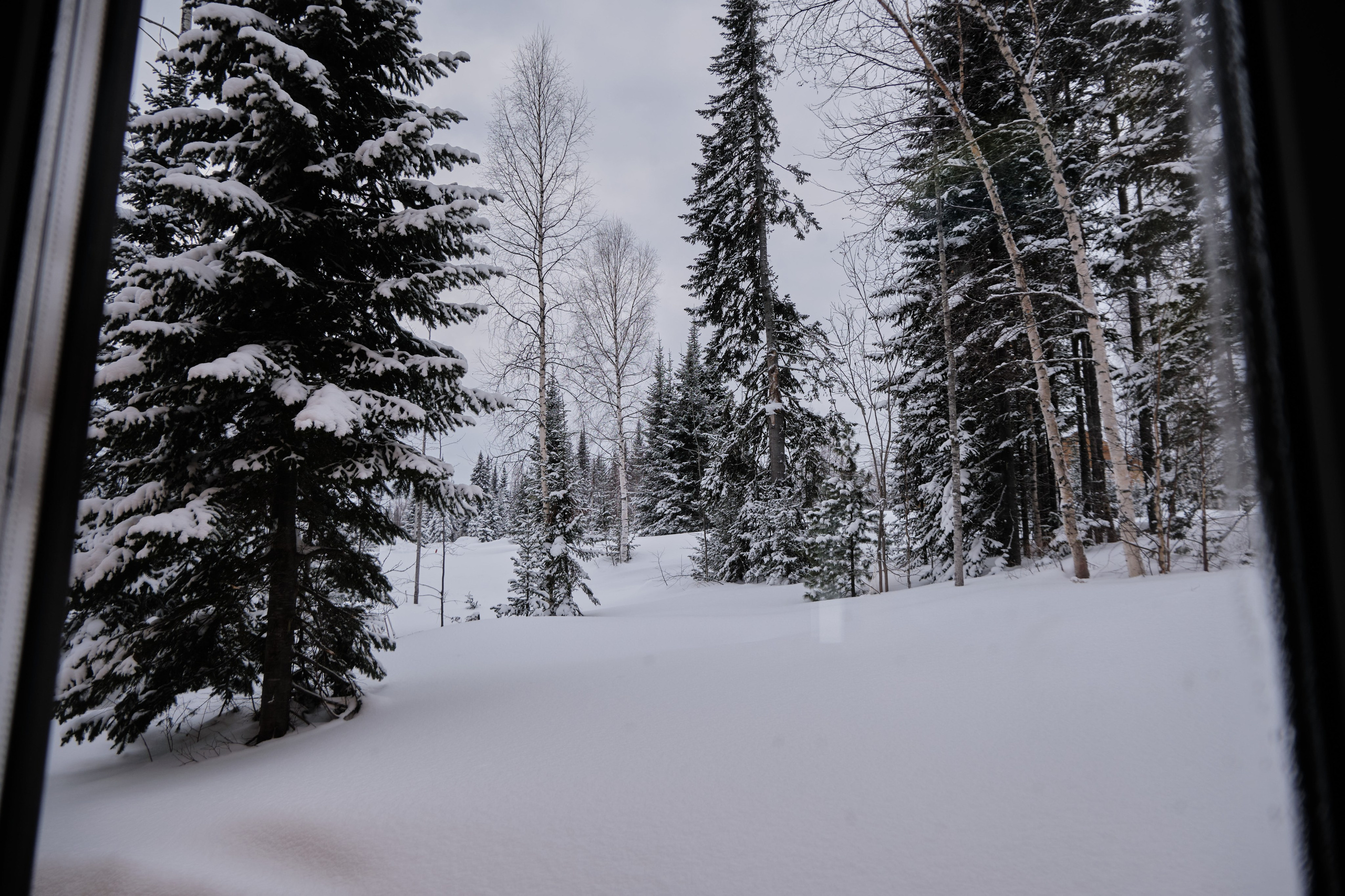 Цветочная ½. Свадебный и семейный фотограф в Новокузнецке Иван Иванов