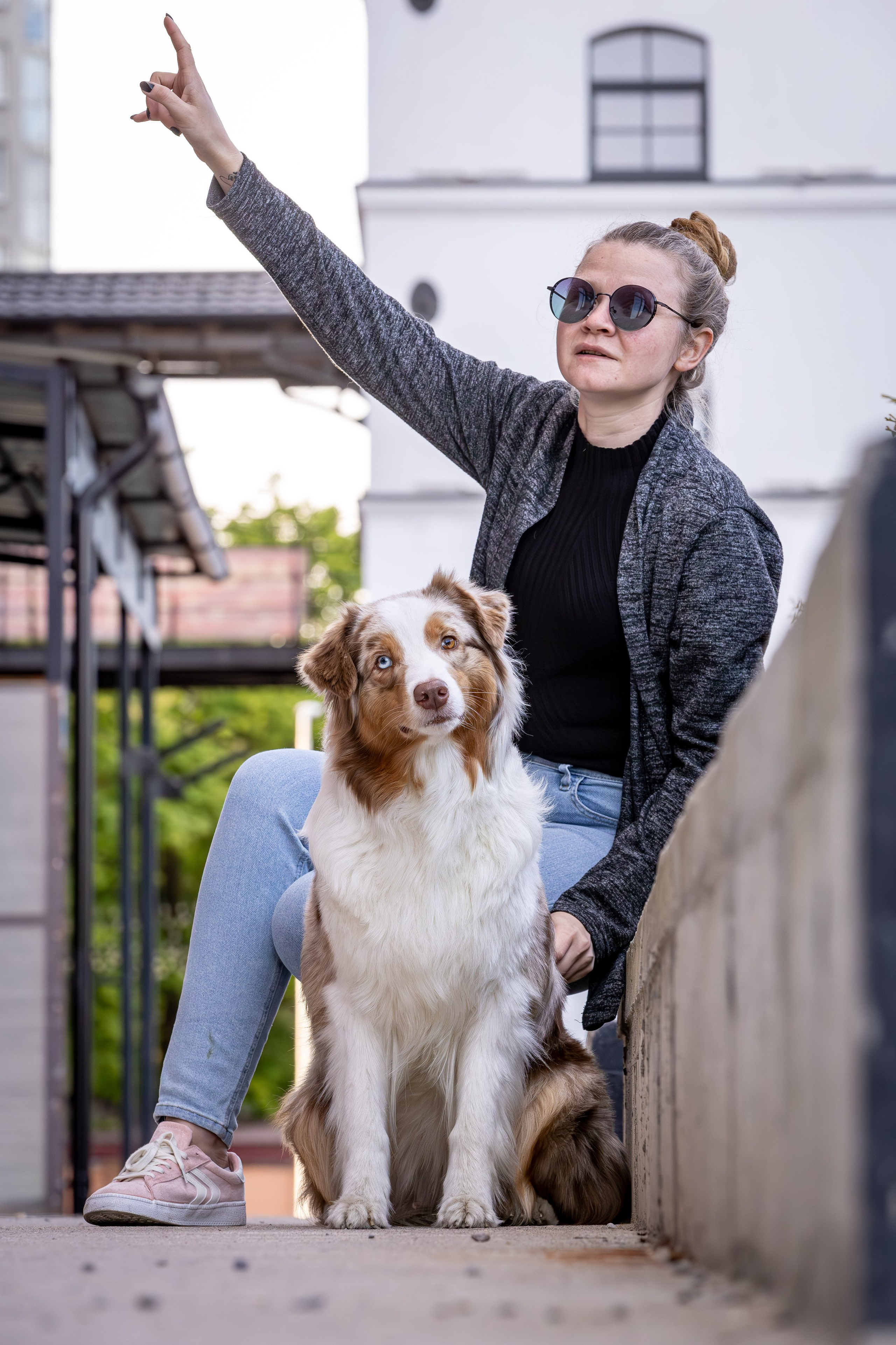 Полли, Австралийская Овчарка. Ирина Голомб|Фотограф-анималист в  Сочи и Калининграде
