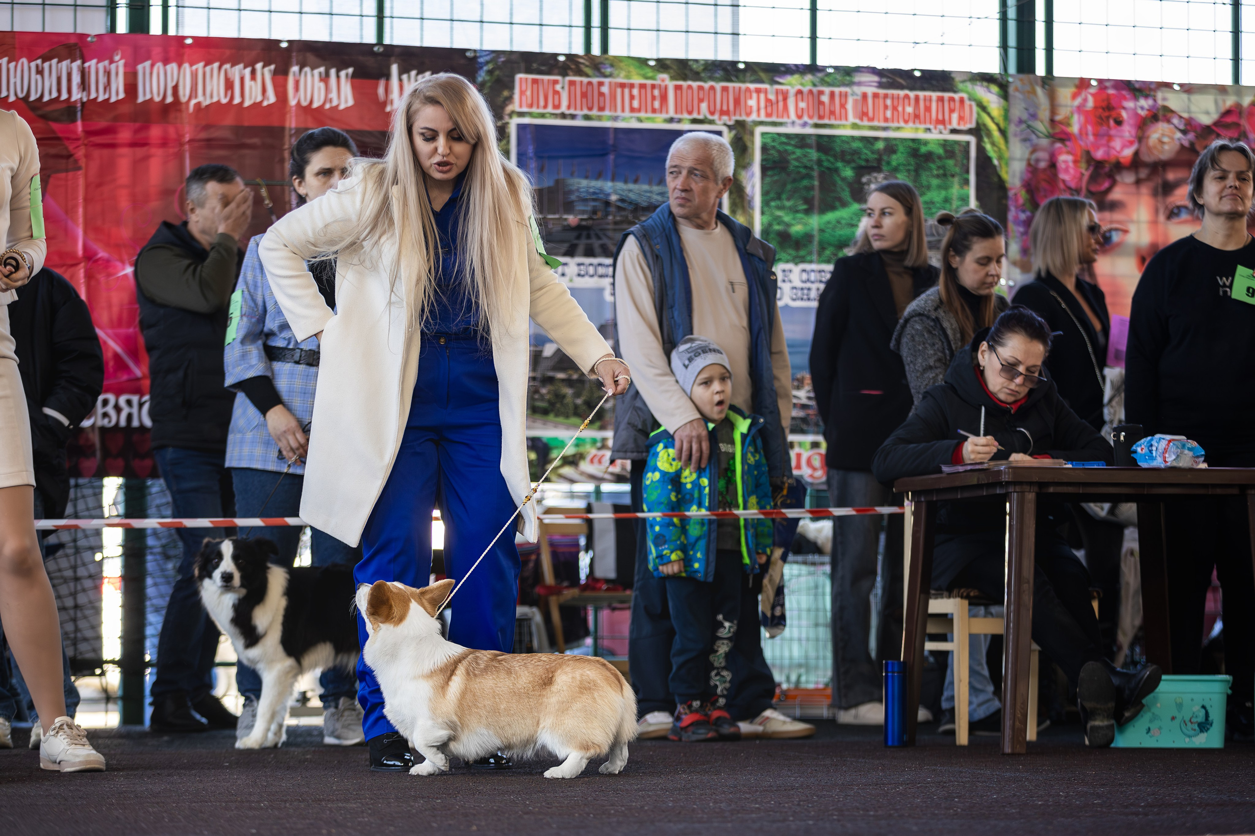 Выставка 25.02.2024. Ирина Голомб|Фотограф-анималист в  Сочи и Калининграде