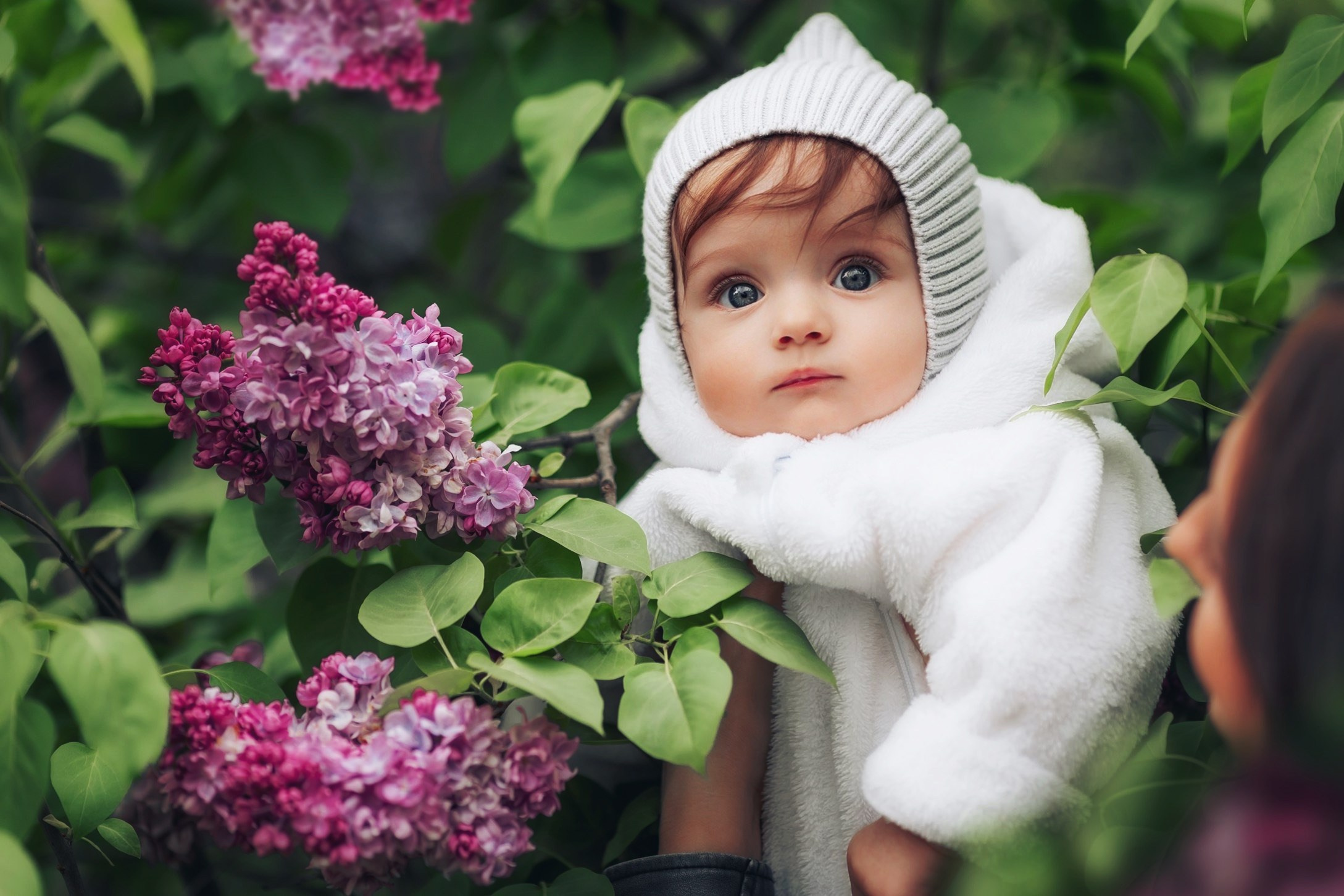 Сирень МАЙ. Семейный и детский фотограф |Брянск| Анастасия Перепелкина