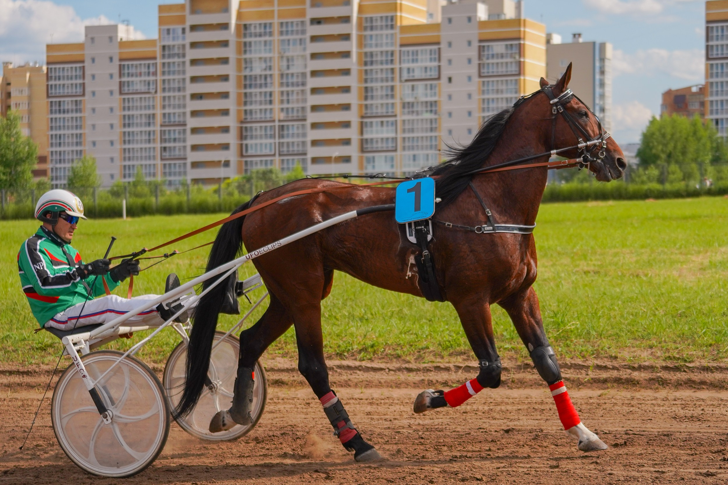 III конные бега на Кубок Главы Чувашии. Фотограф-анималист, портретный фотограф в Чебоксарах Мария Садыкова