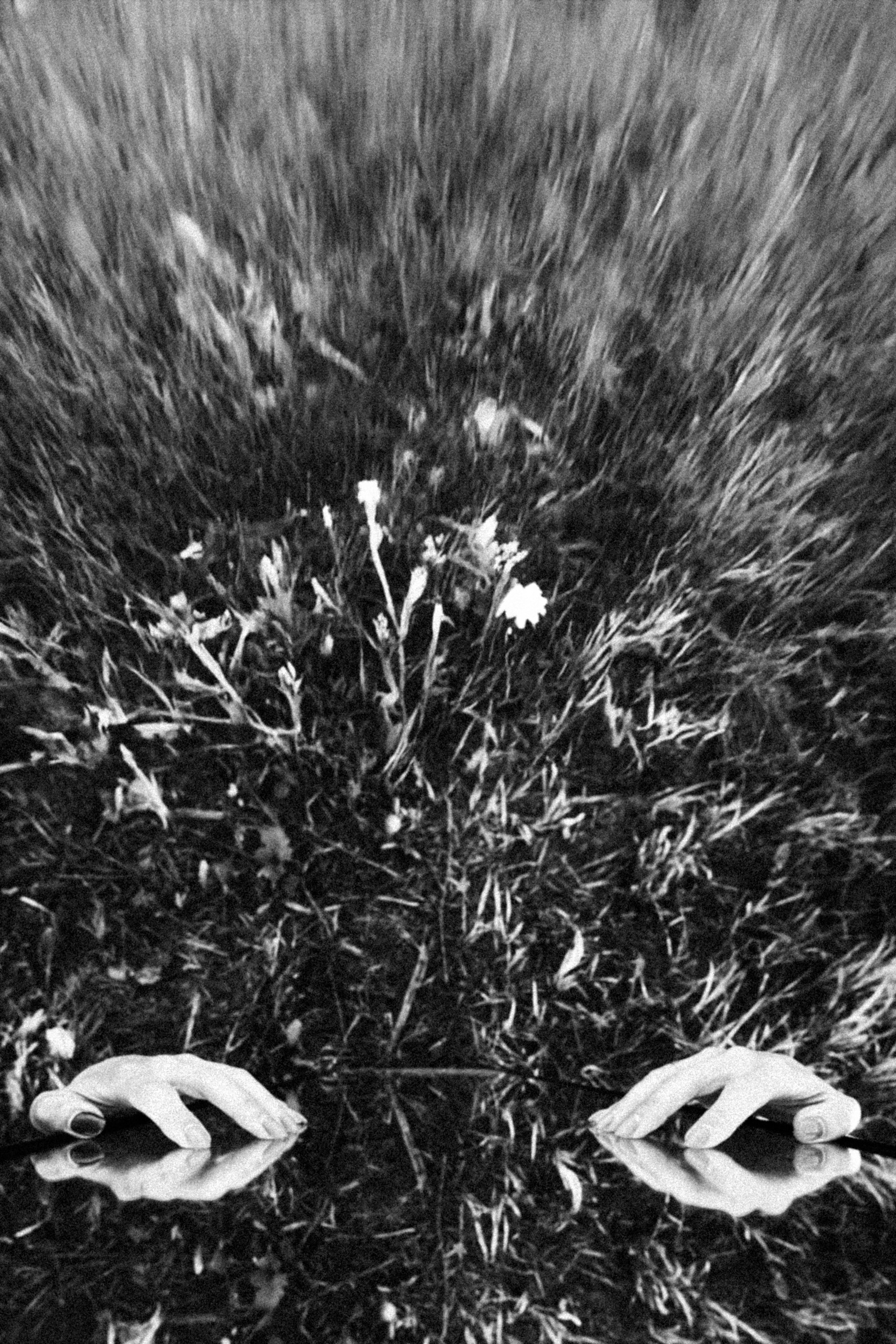 Странное зеркало