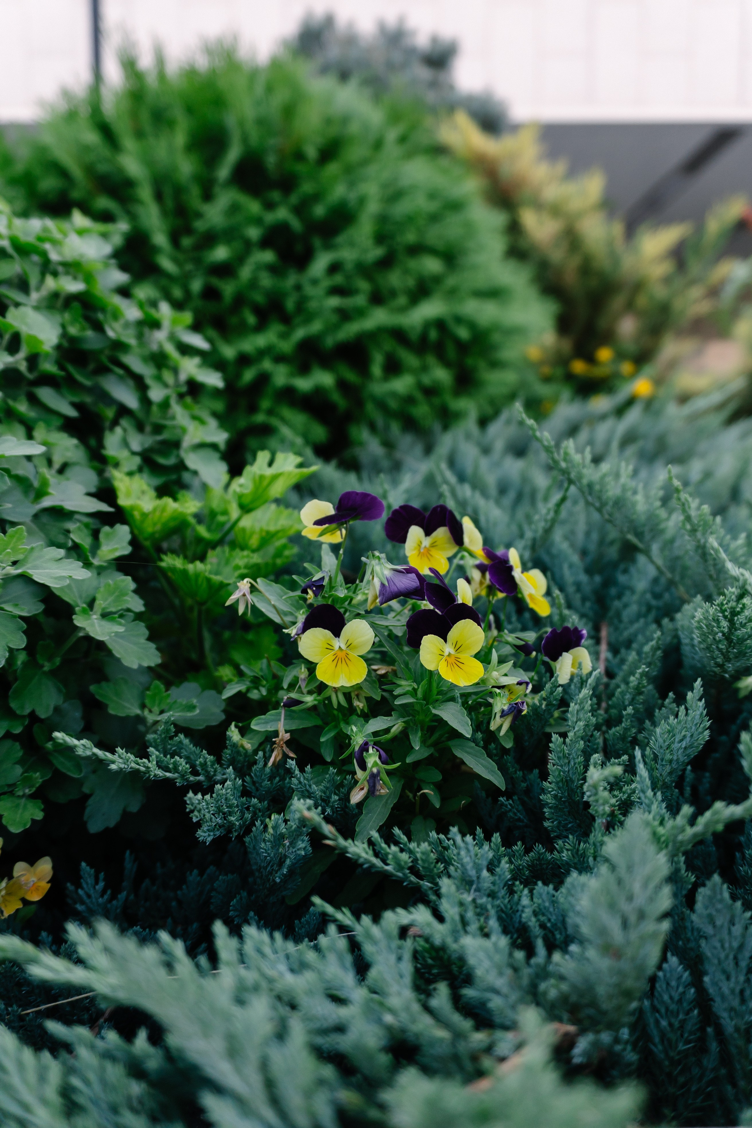 Локации для школьных съемок. Семейный фотограф и видеограф Ростов-на-Дону