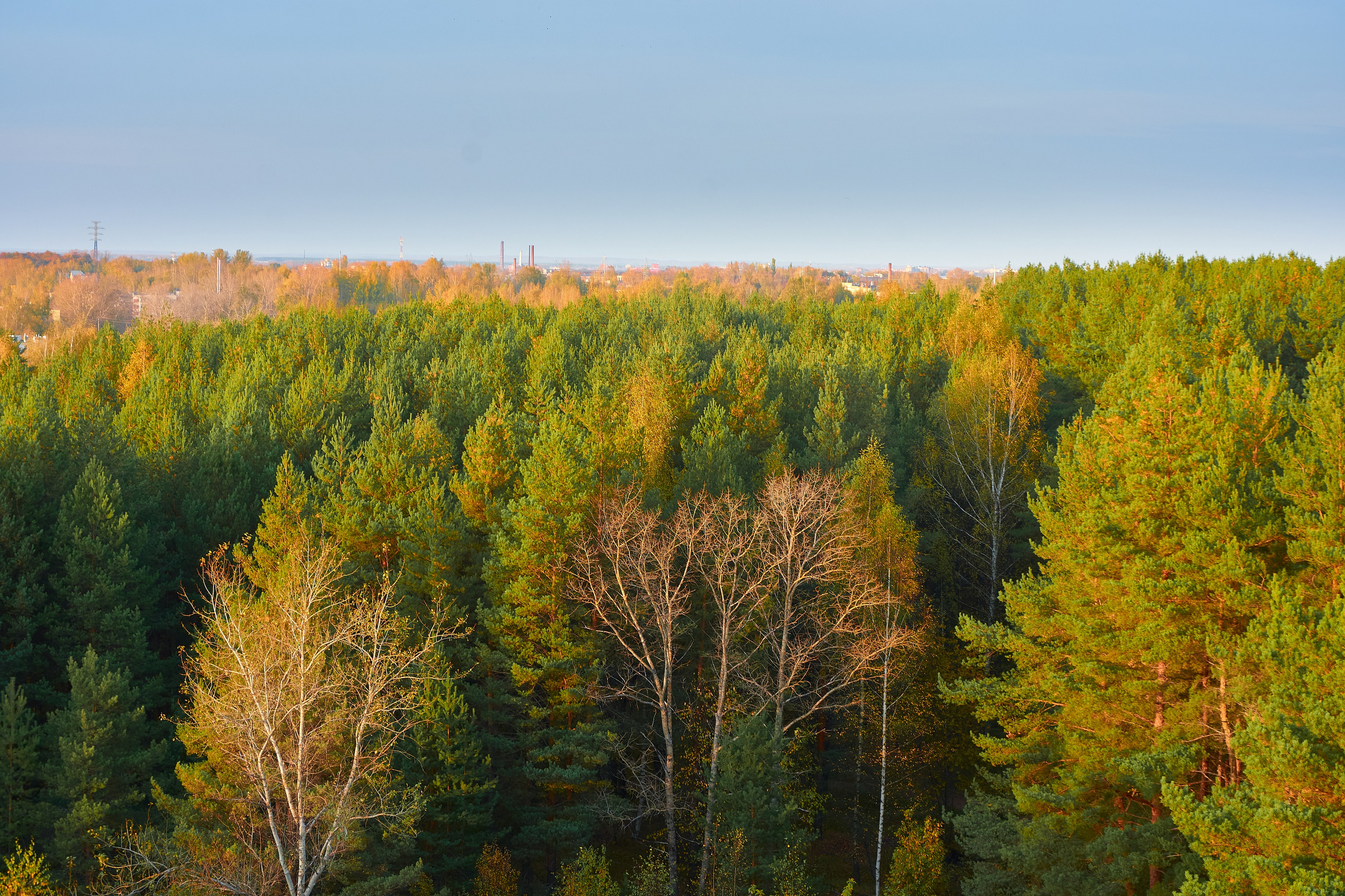 На большом воздушном шаре. Ольга Чёкотова (Фотограф Кострома)
