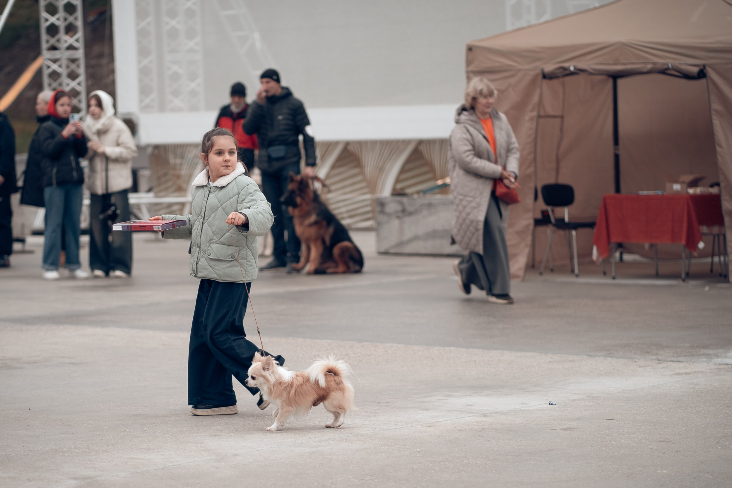 Благотворительная выставка собак в Новом Херсонесе г. Севастополь. Церковный фотограф Севастополь