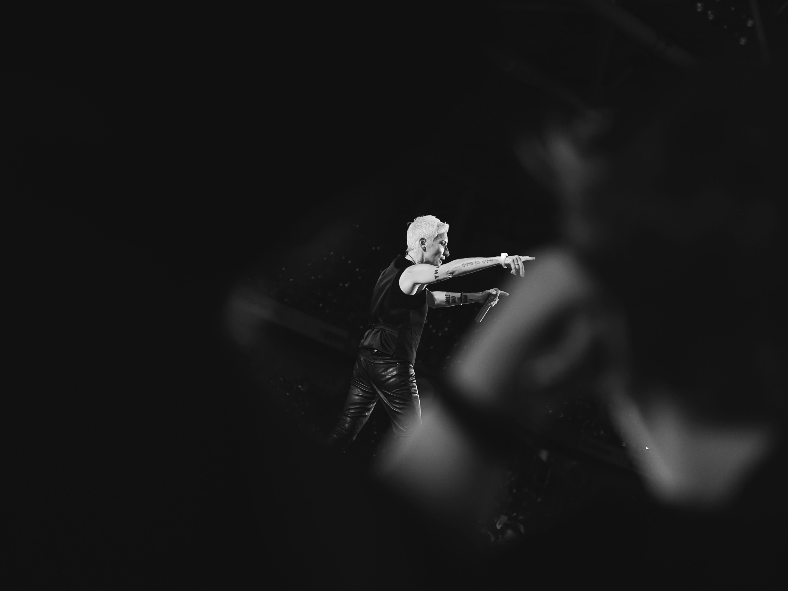 Диана Арбенана/Ночные снайперы. Юбилейный концерт. Фотограф в Москве, Оксана Ребристая