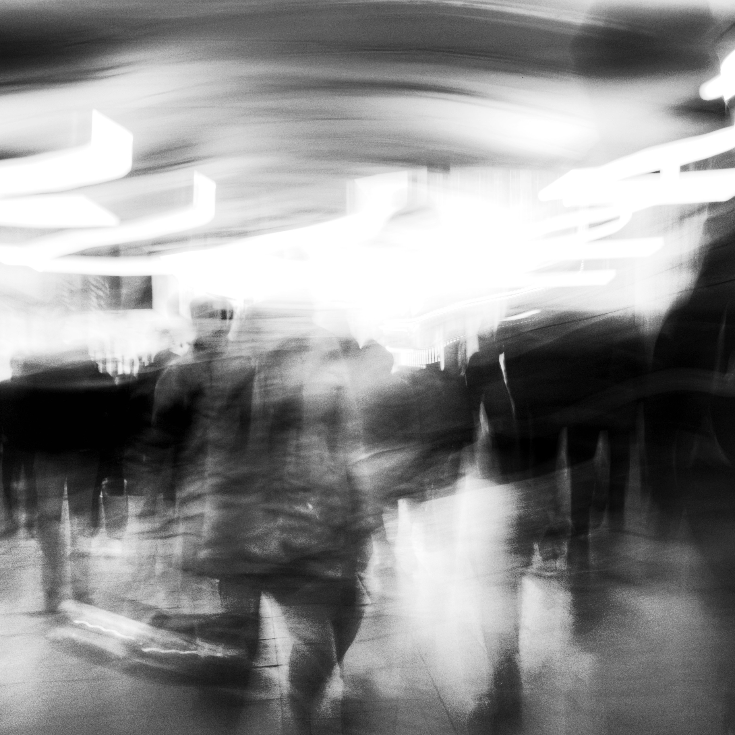 Primavera. Metagraphy