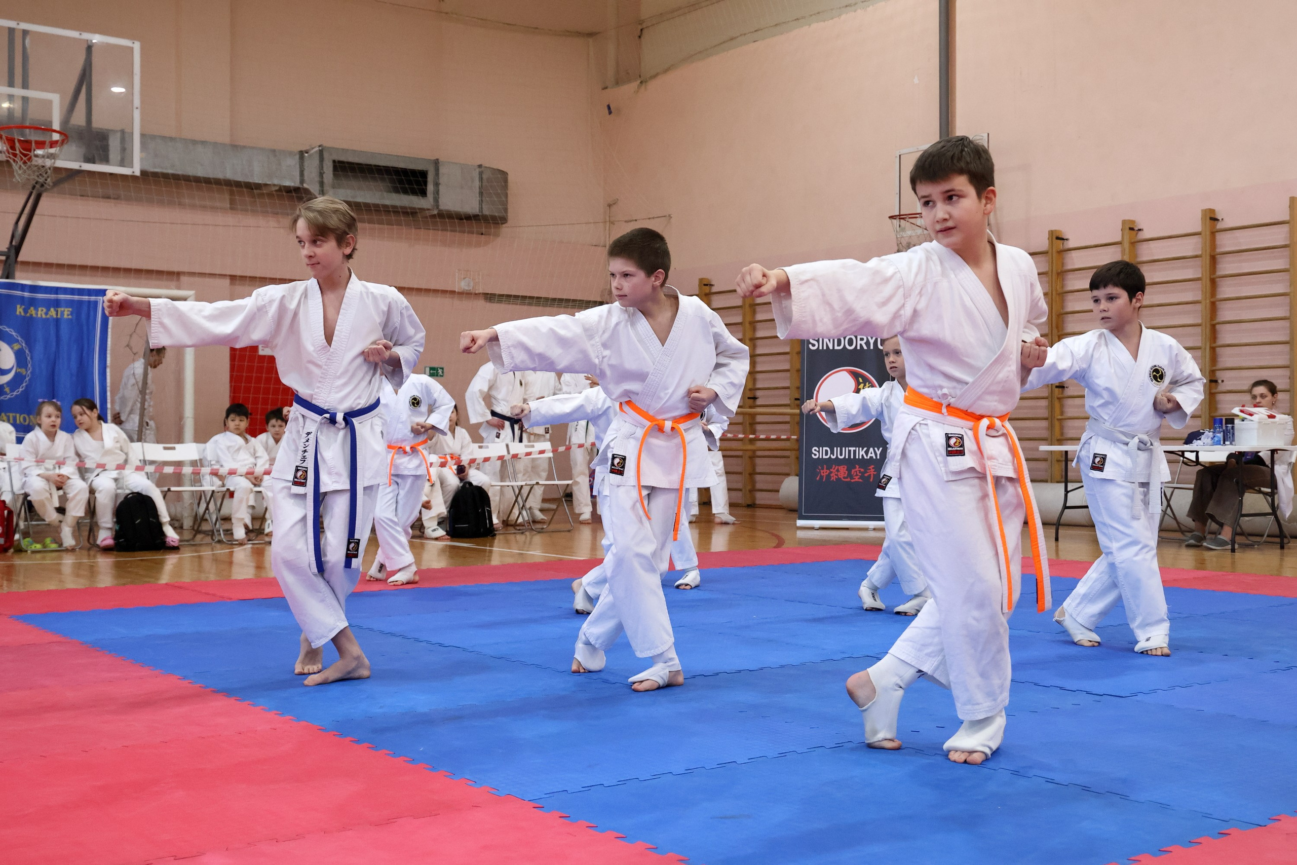 Соревнования по КУМИТЭ: Бои в жилетах. Спортивный и репортажный фотограф Ермакова Светлана