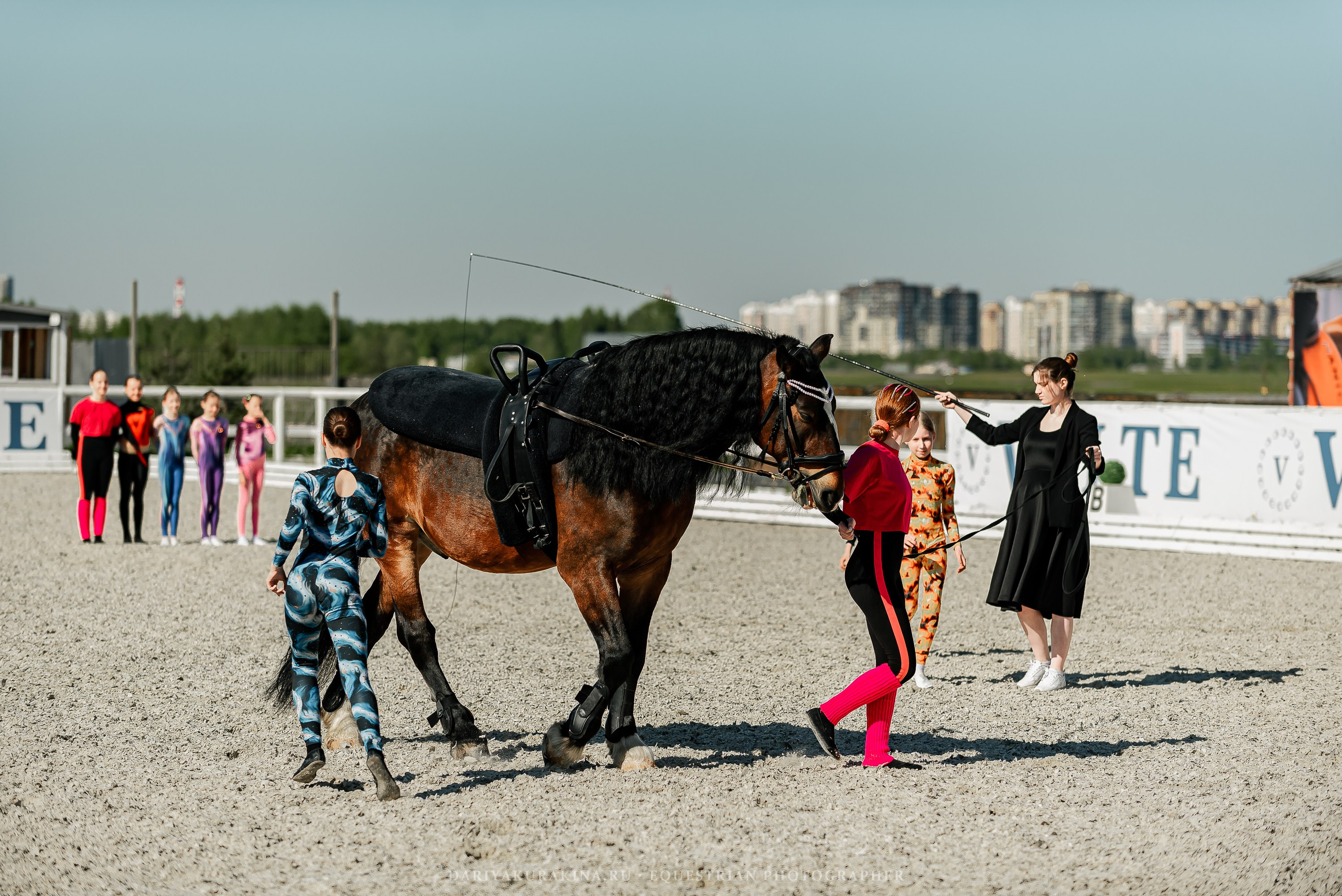 РЕПОРТАЖ МКК ВОЛЬТ «LA TULIPS». Конный фотограф Куракина Дарья • Фотосессии с лошадьми