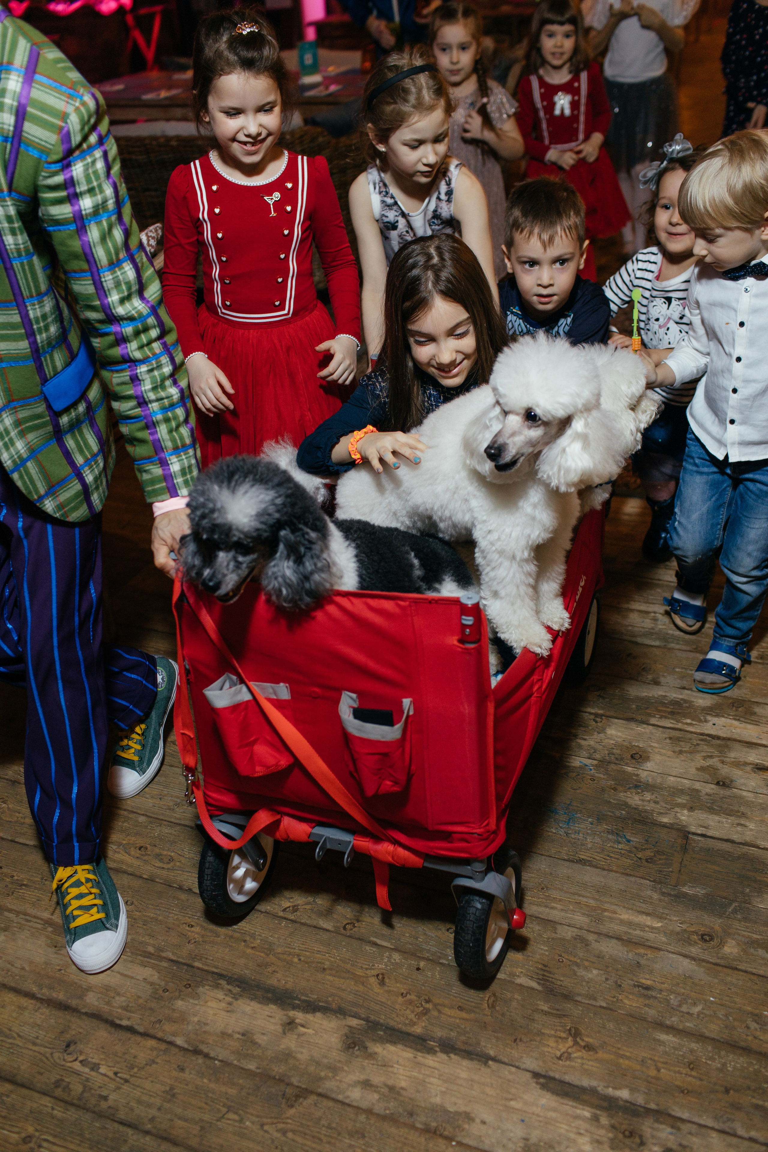 Алине 7 лет. Свадебный и семейный фотограф