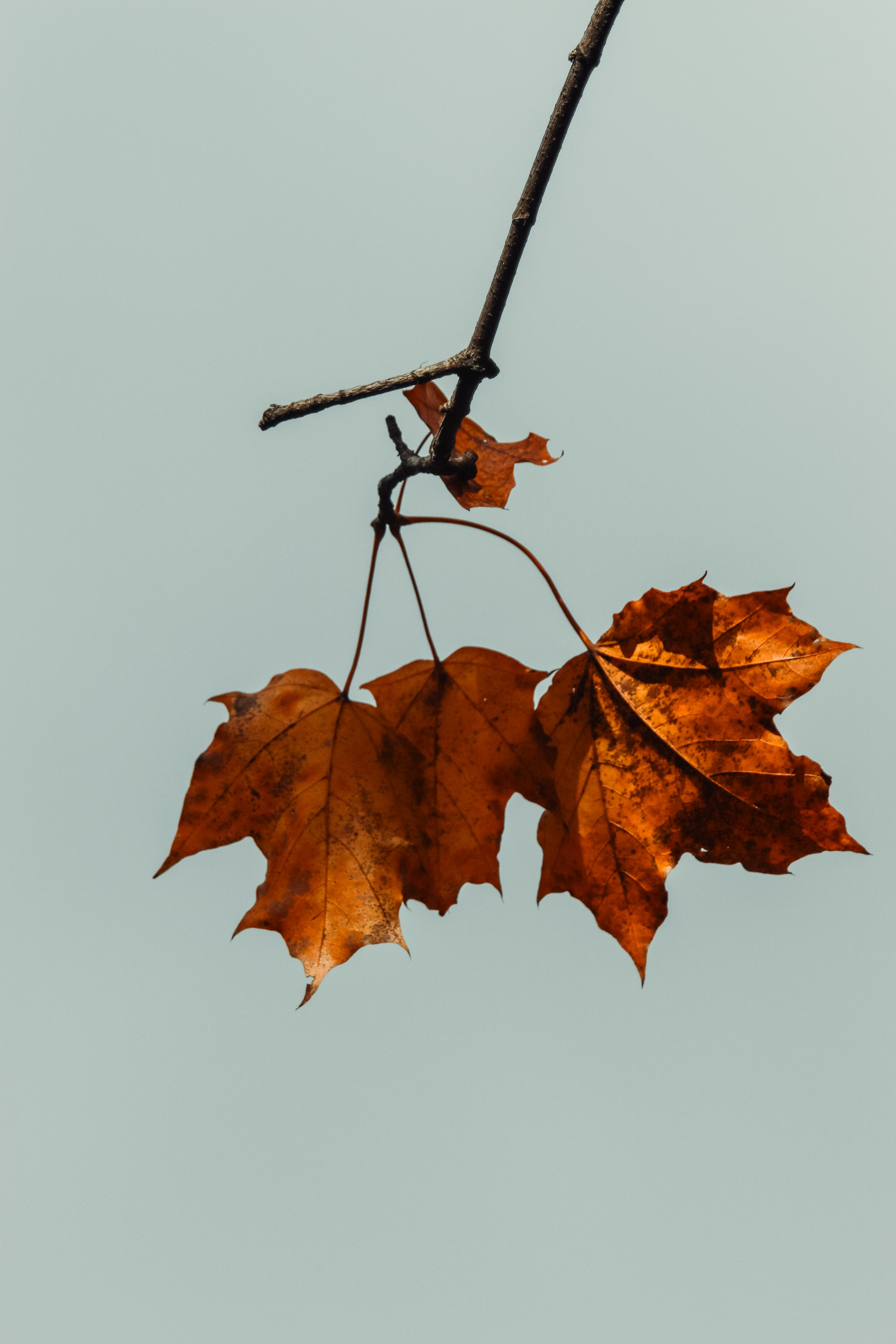 М И Н И М А Л И З М. — Digital Noise —