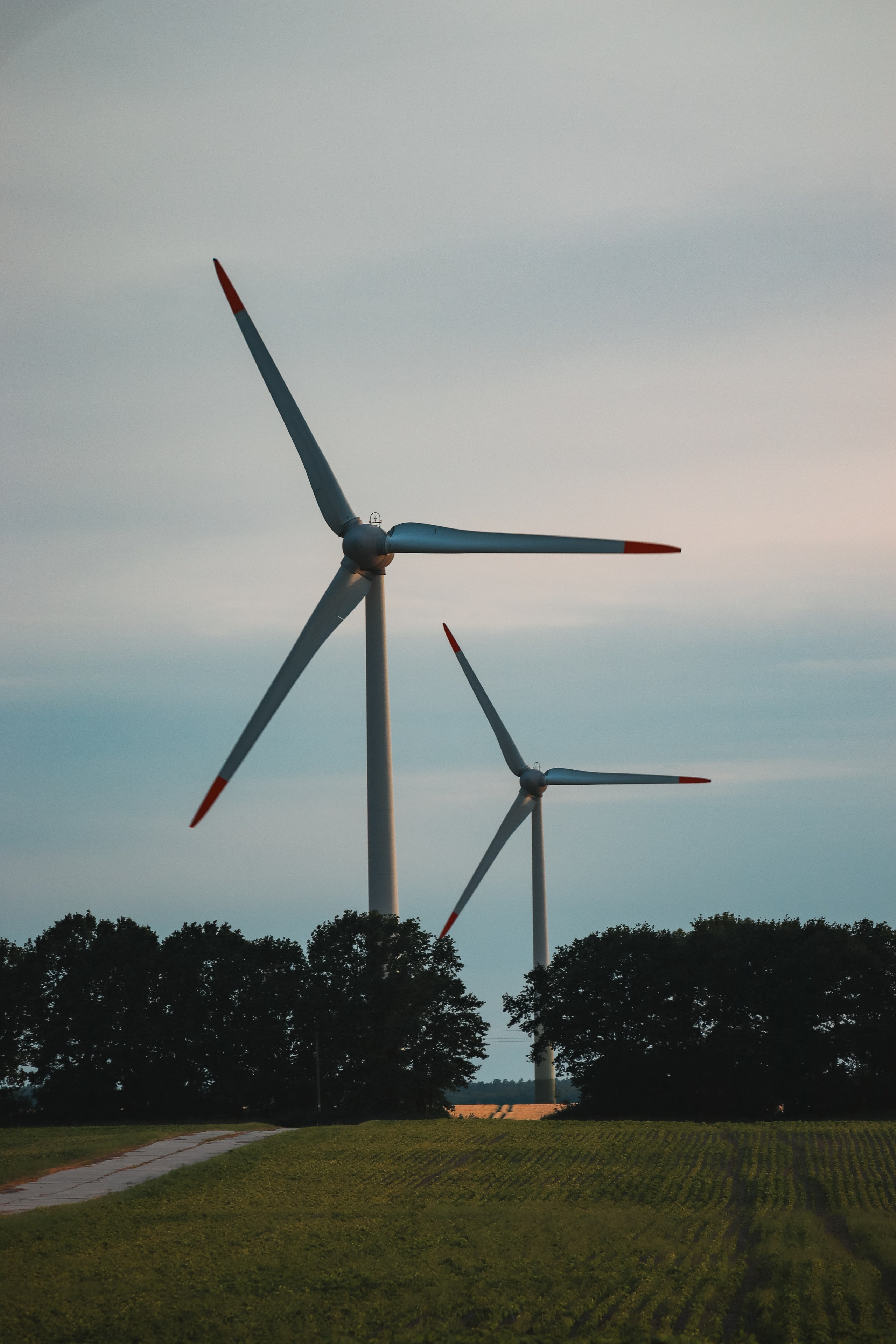 П Е Й З А Ж Н Ы Е