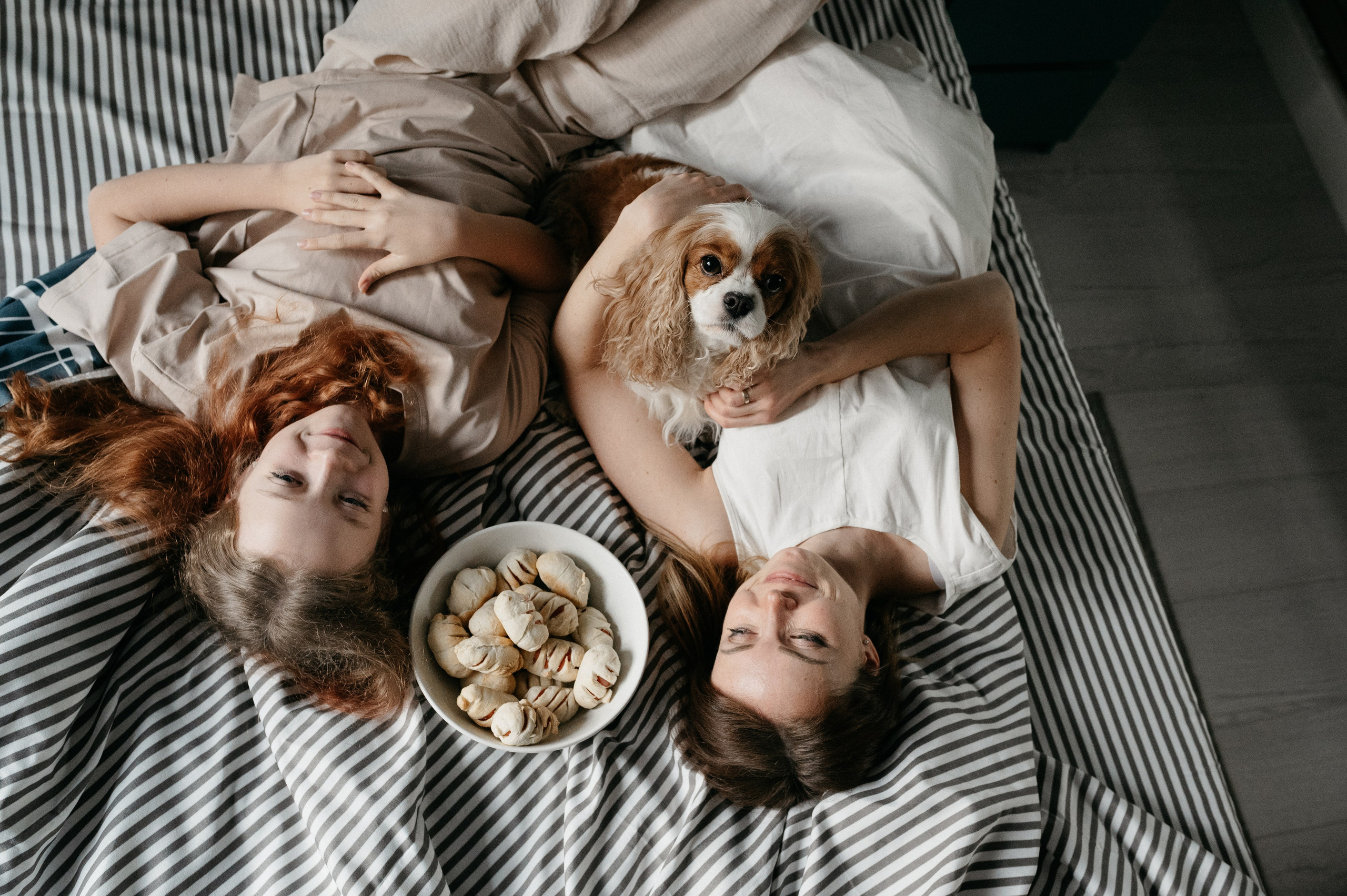 Даша, Диана, Дебби и маленькая крыска. Фотограф анималист в Москве Ольга Агушева