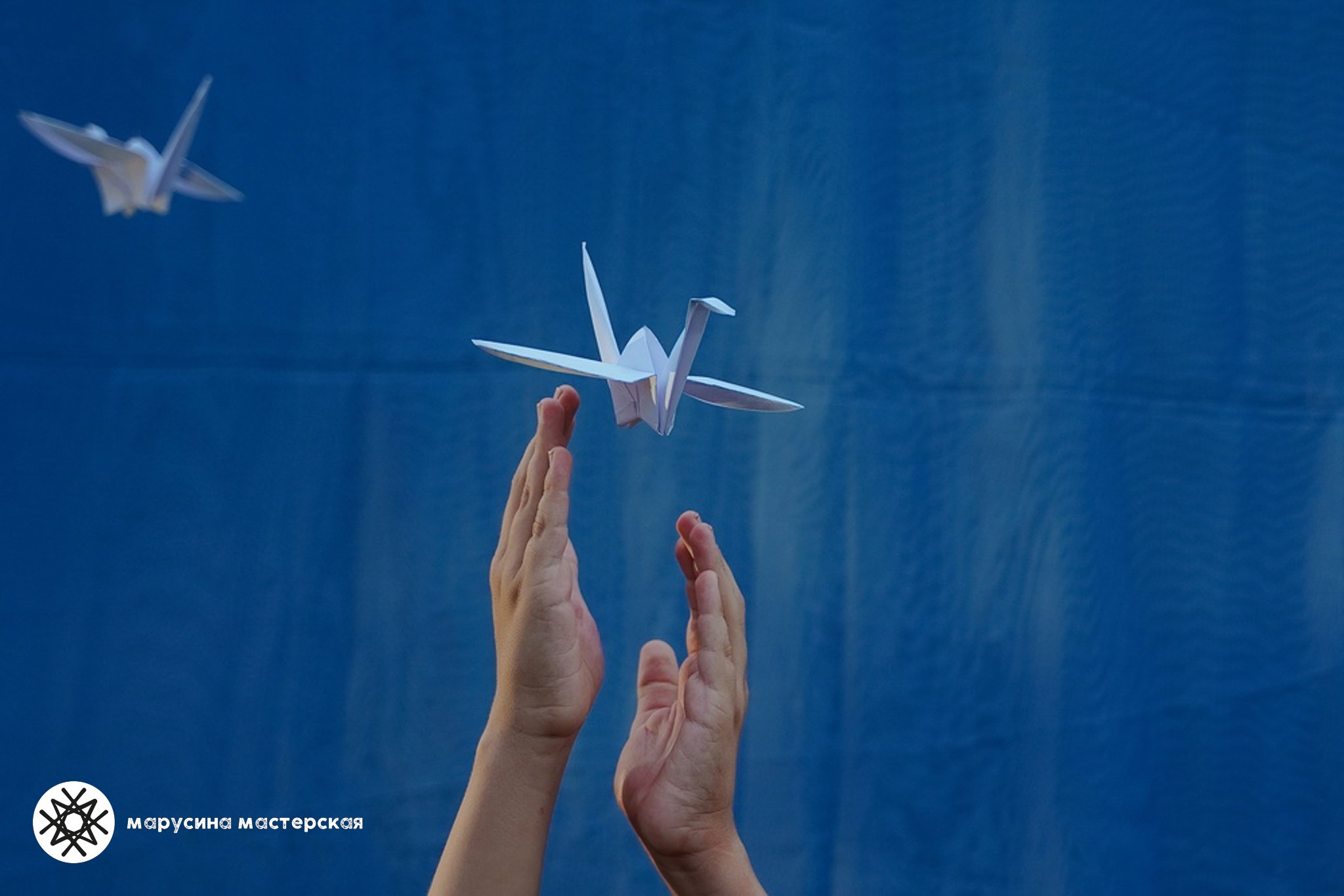 Светлана Зборовская