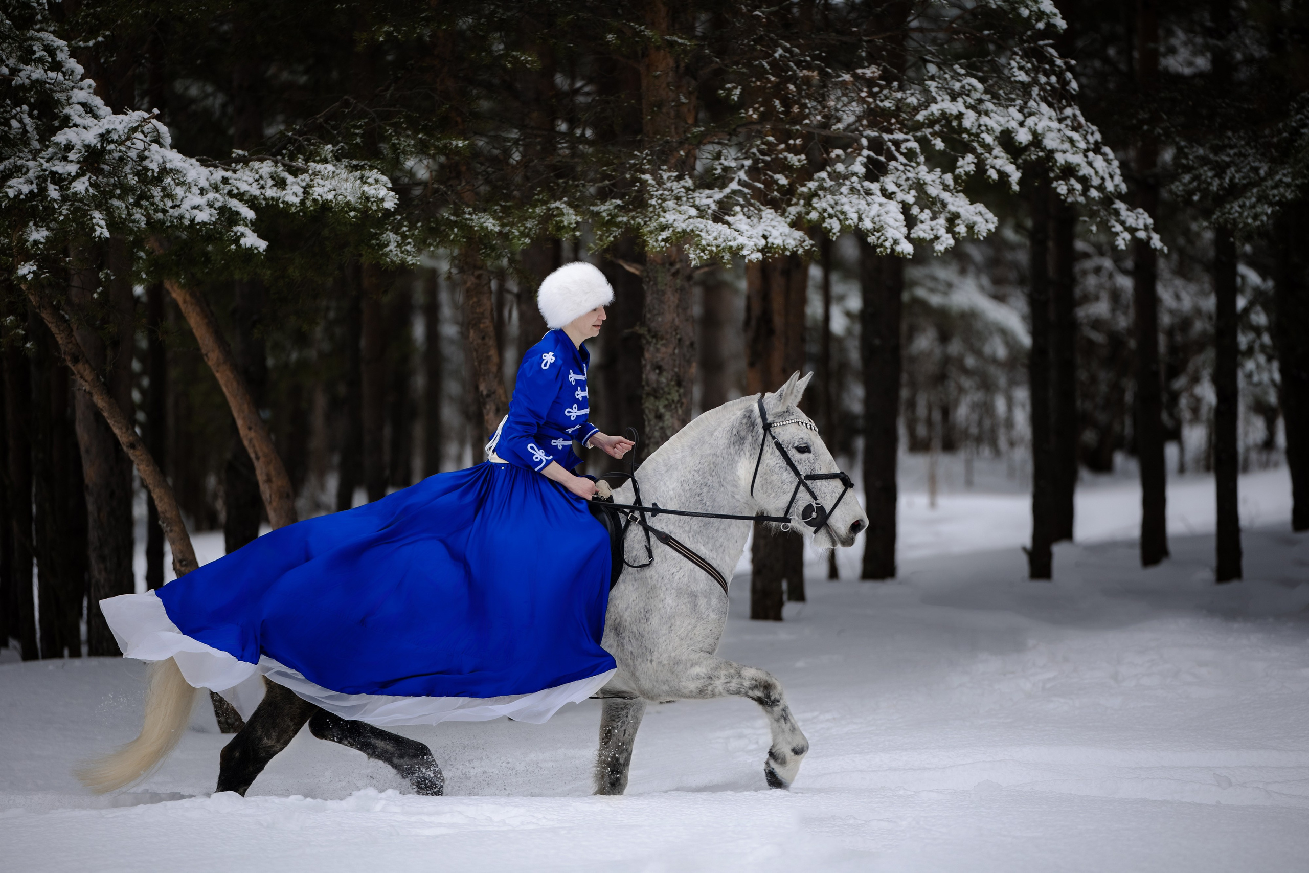 Аренда лошадей для фотосессии в Петрозаводске. Фотограф Варвара Ермоленко