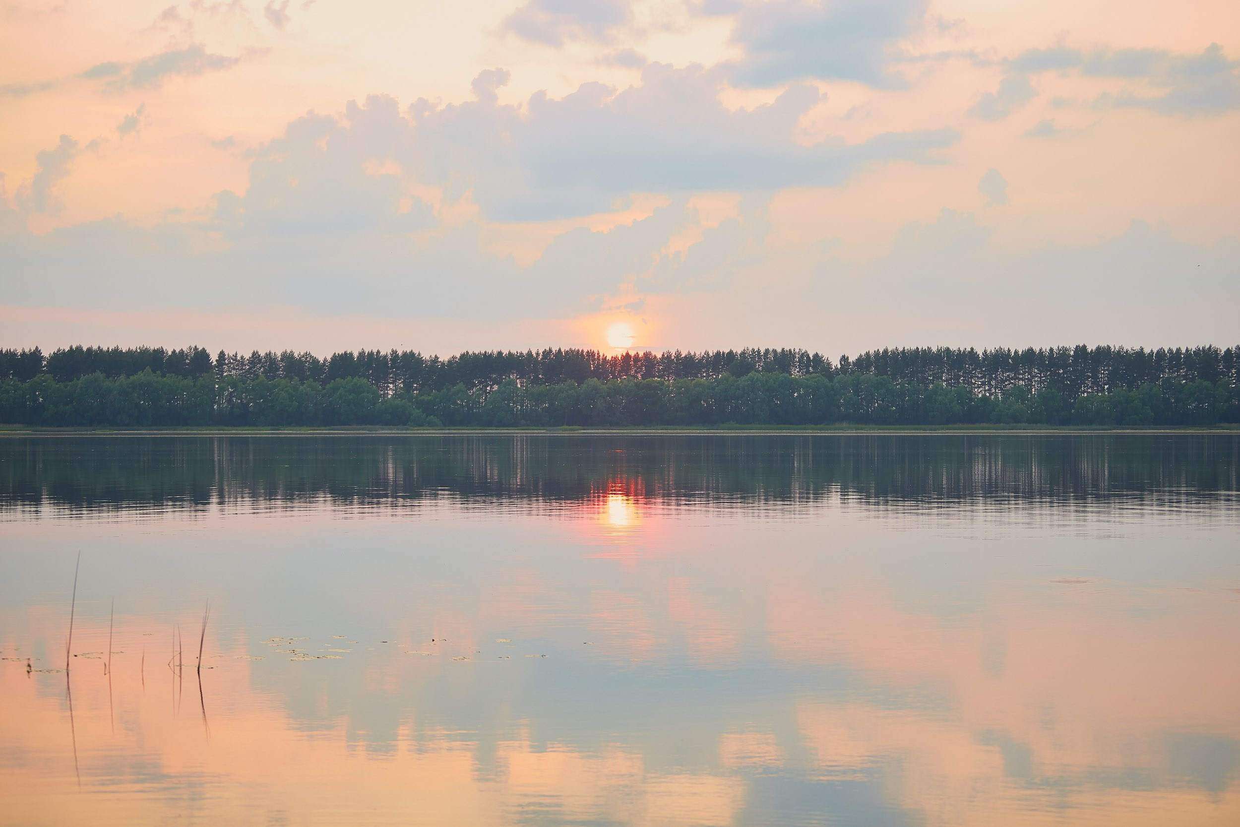 Фотосессия с лошадьми, Фотограф Михаил Семенов г. Ярославль
