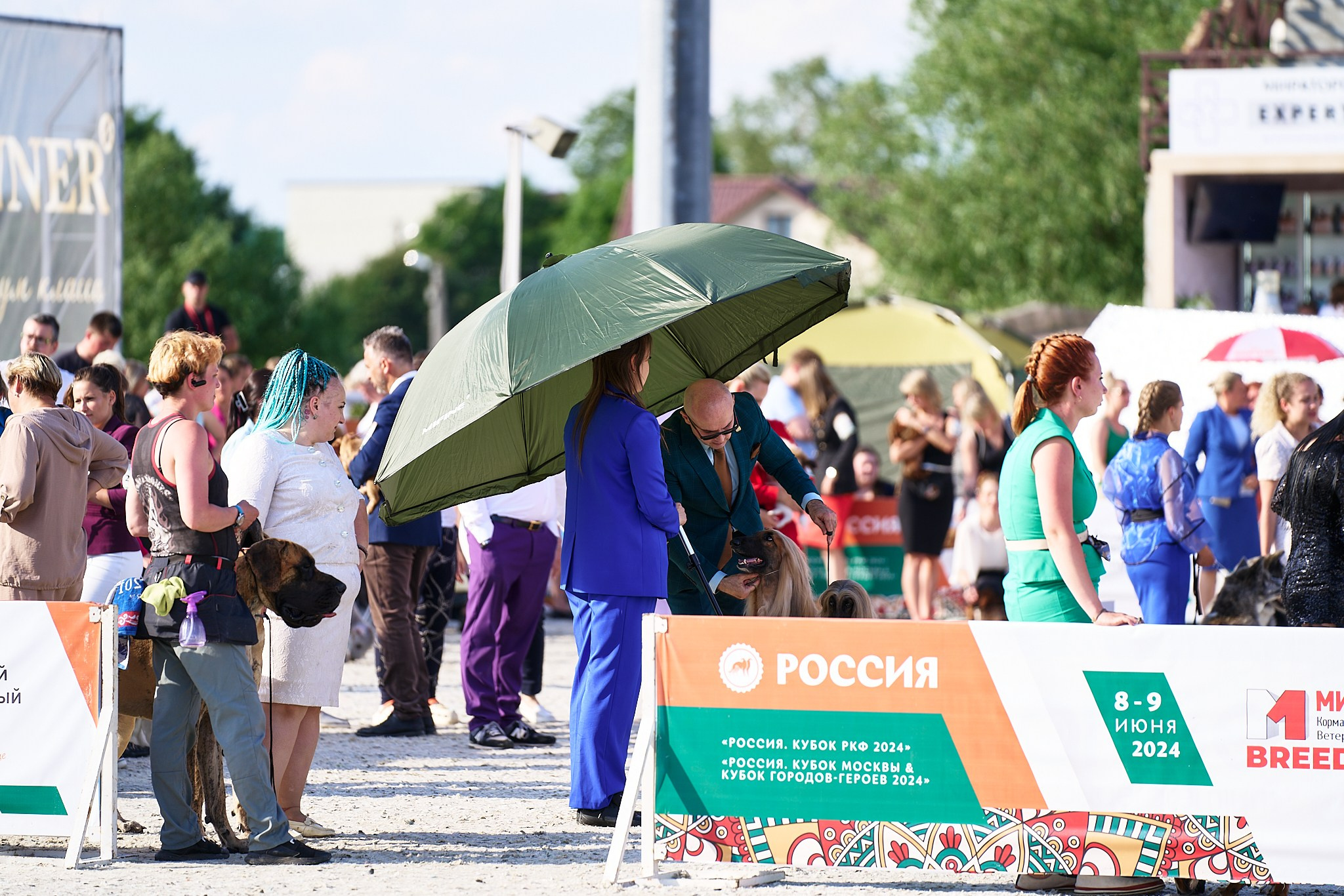 08.06.2024 «РОССИЯ. КУБОК РКФ 2024»