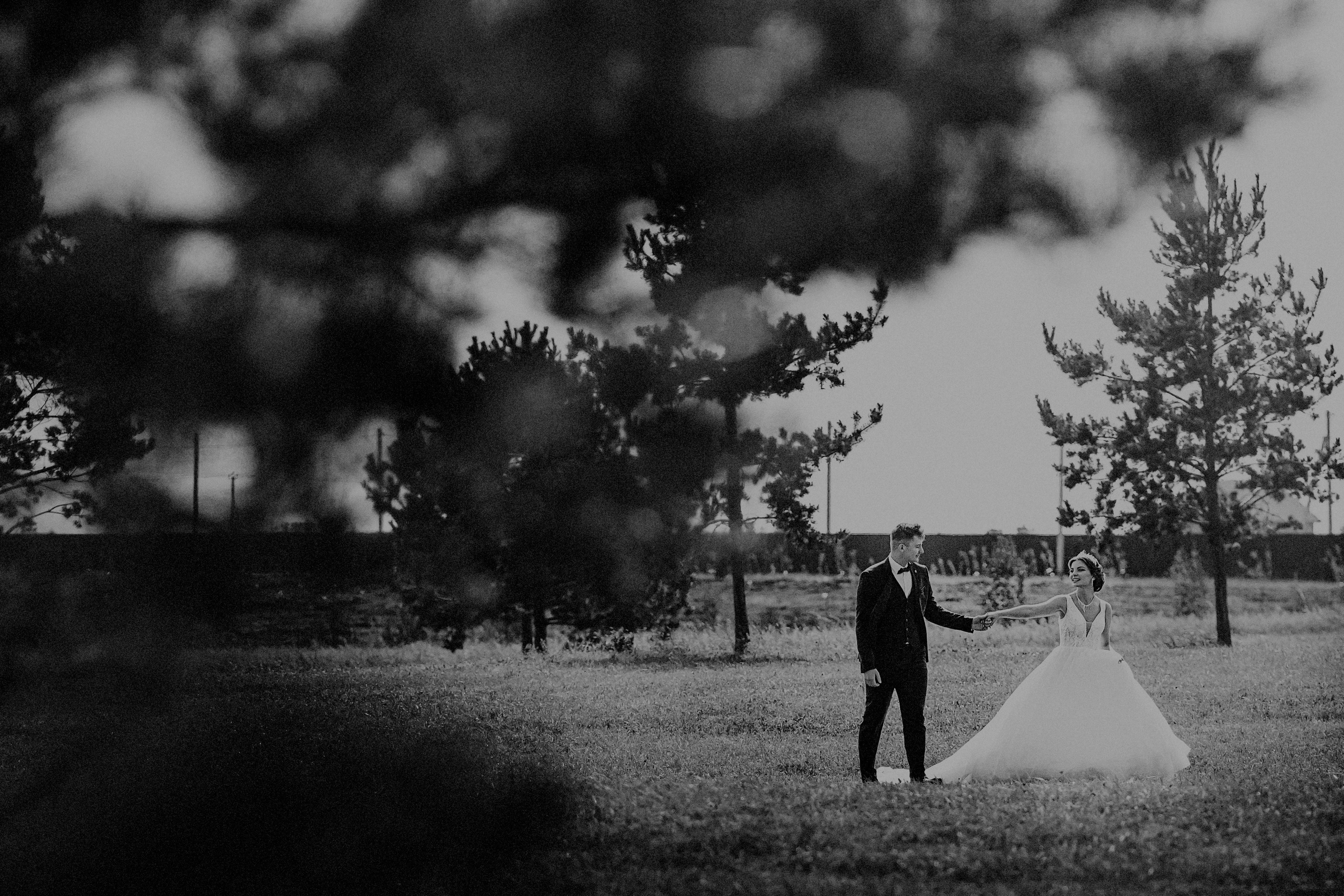 Свадебная серия Андрей и Натальи