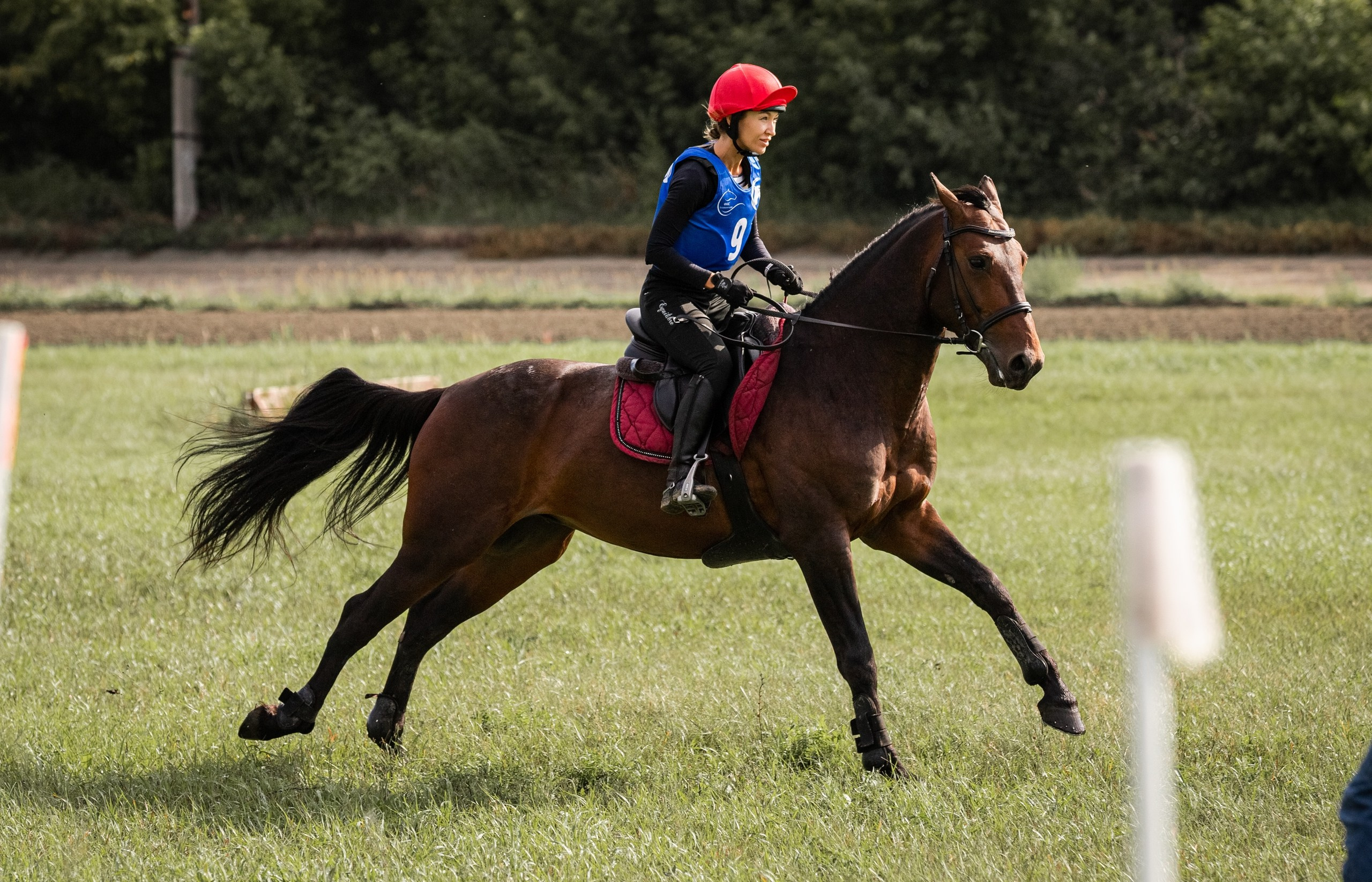 Для конников. Главная