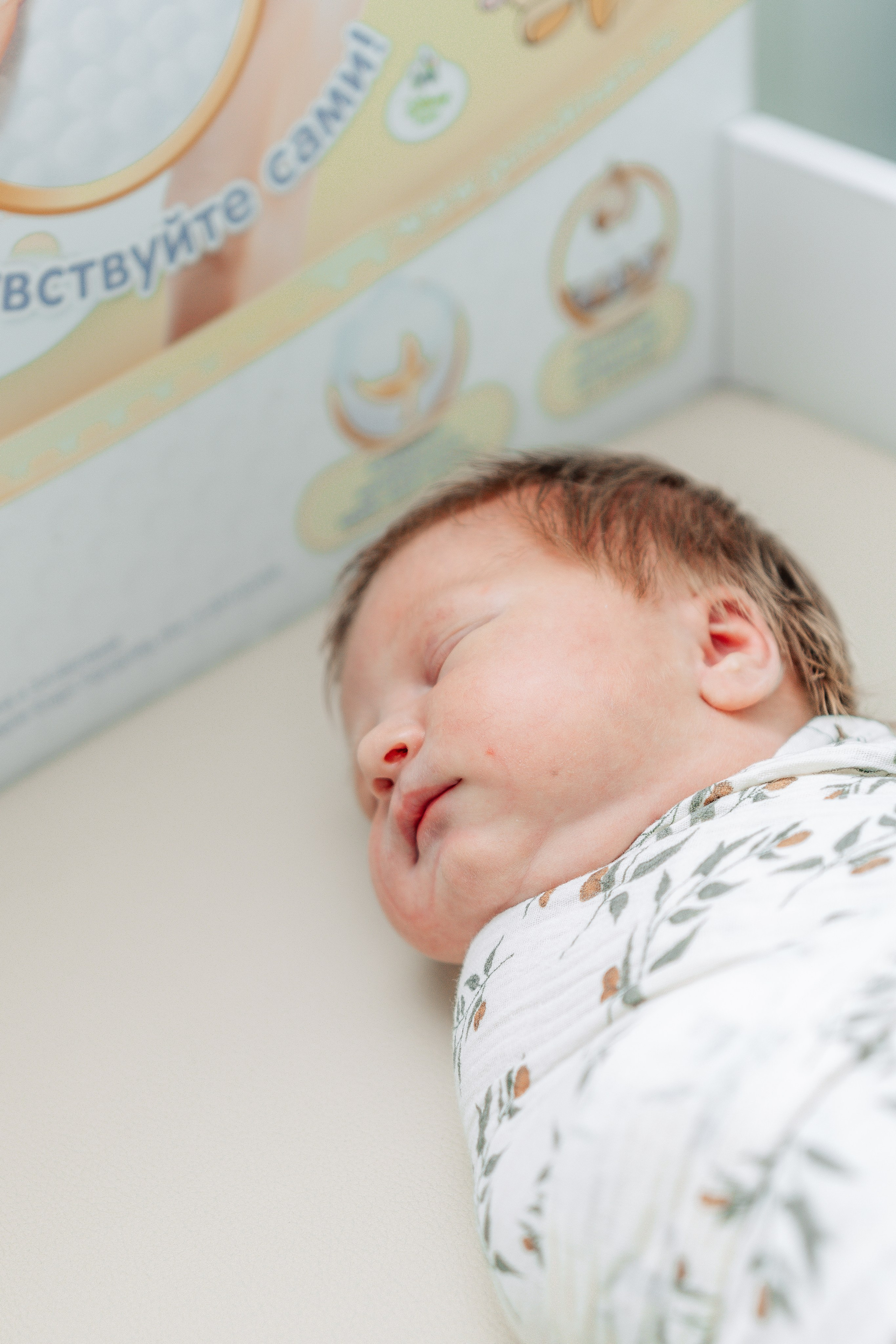 Выписка из РОДДОМА