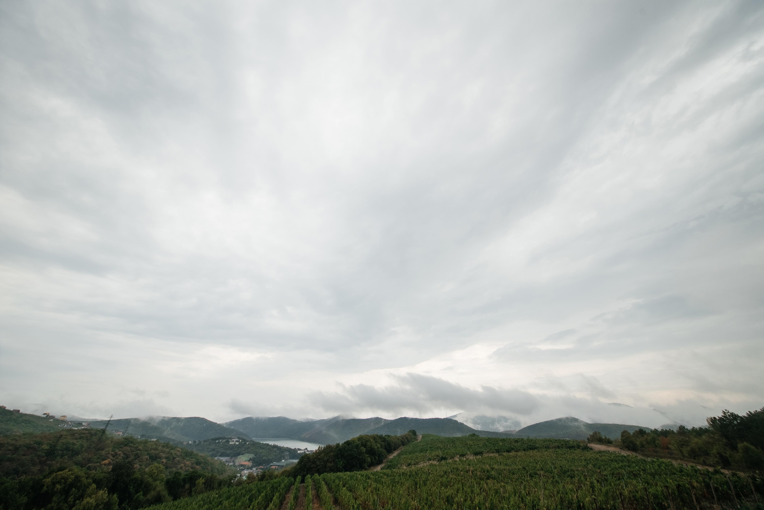 Никита & Даша. Wedding photographers Alex Abramyan