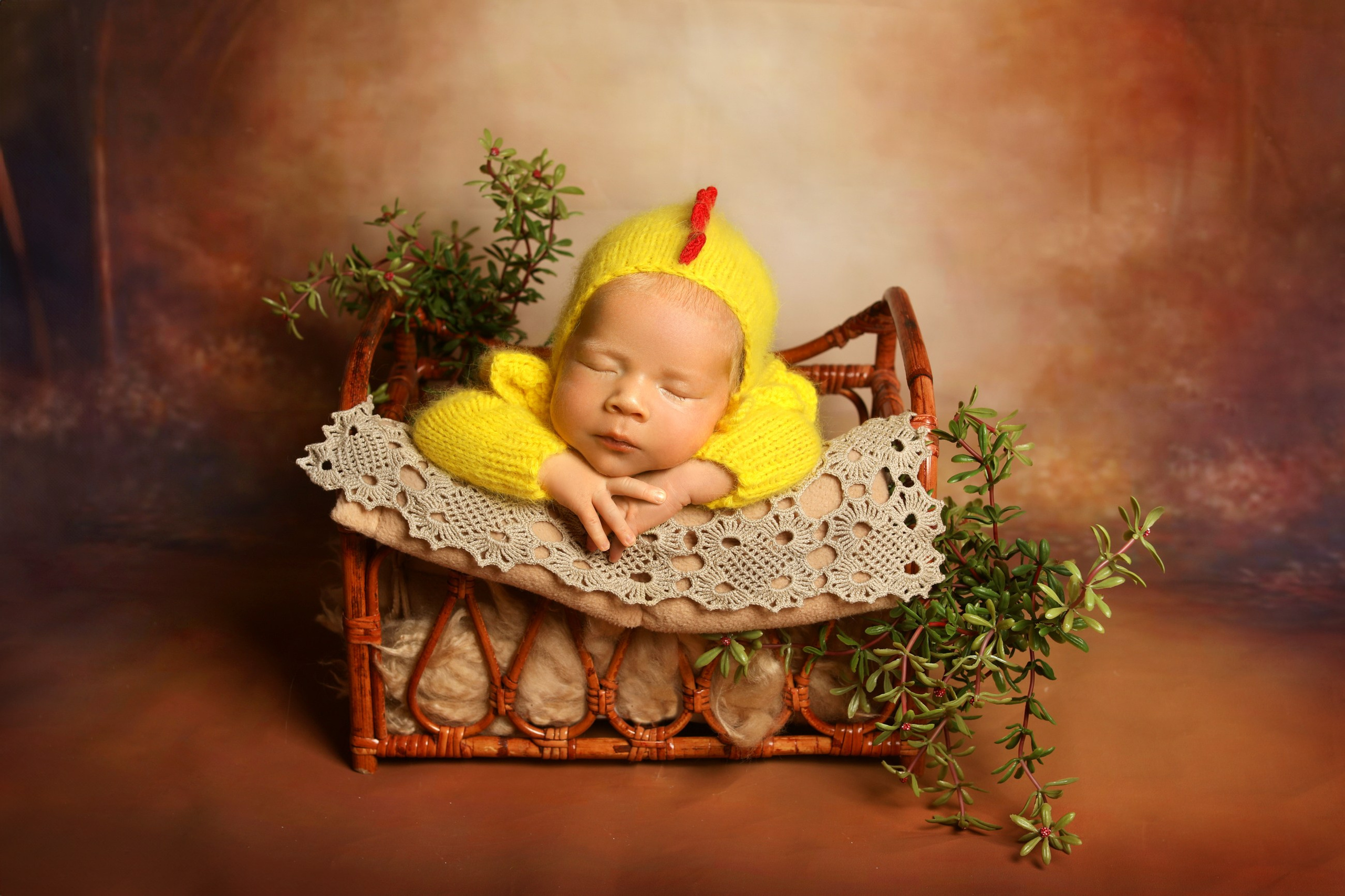 Новорожденные мальчики. Фотограф новорожденных в г. Великий Новгород — Екатерина Новикова