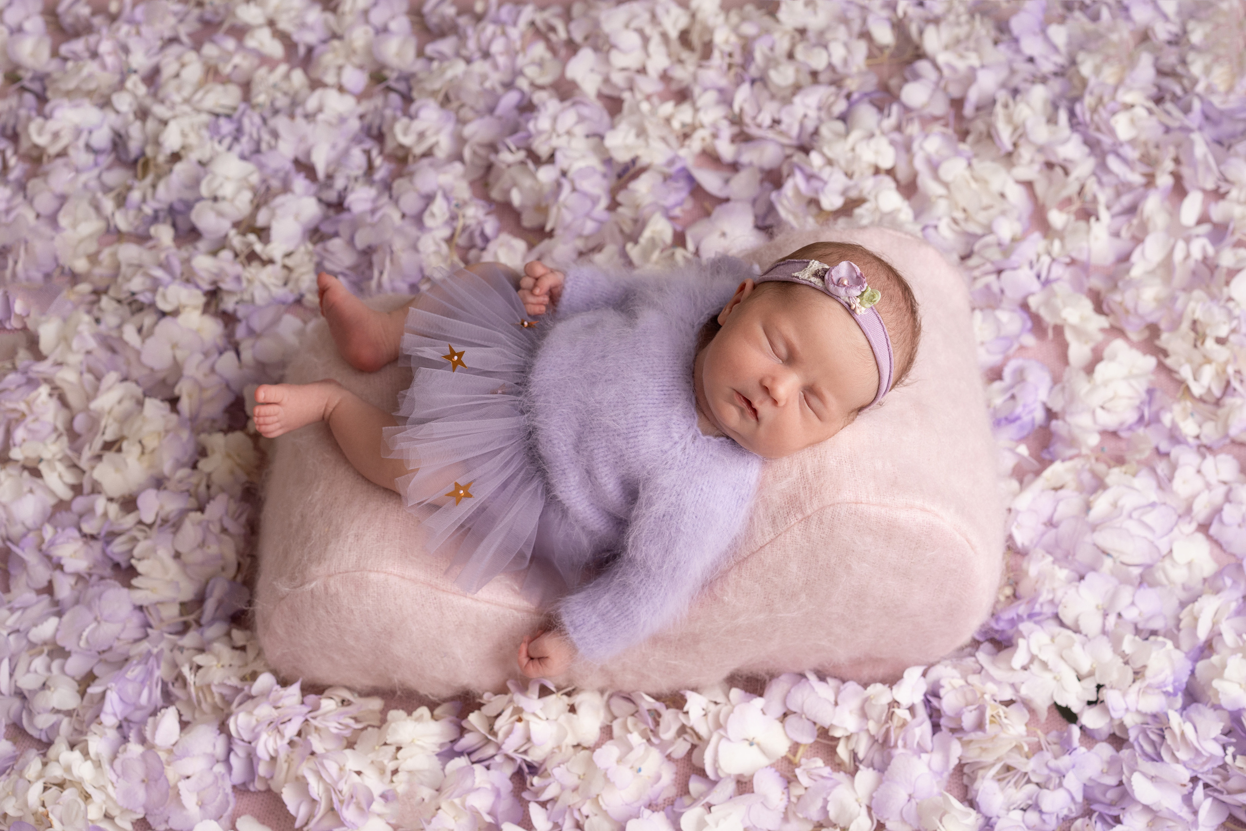 Сладкие сны. Новорожденные малыши. Ольга Курдюмова, Фотограф новорожденных и деток до года в Москве