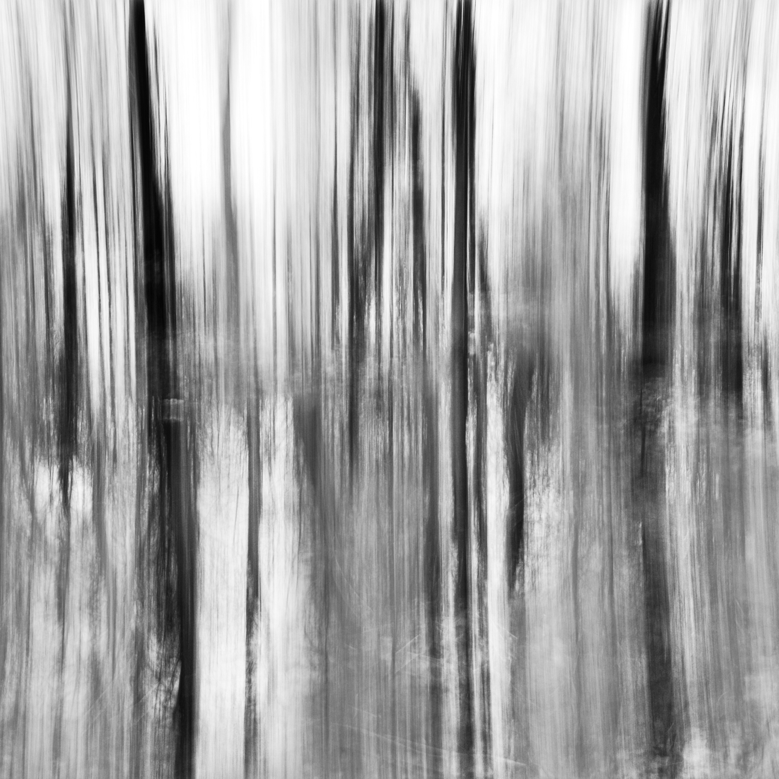 Primavera. Metagraphy