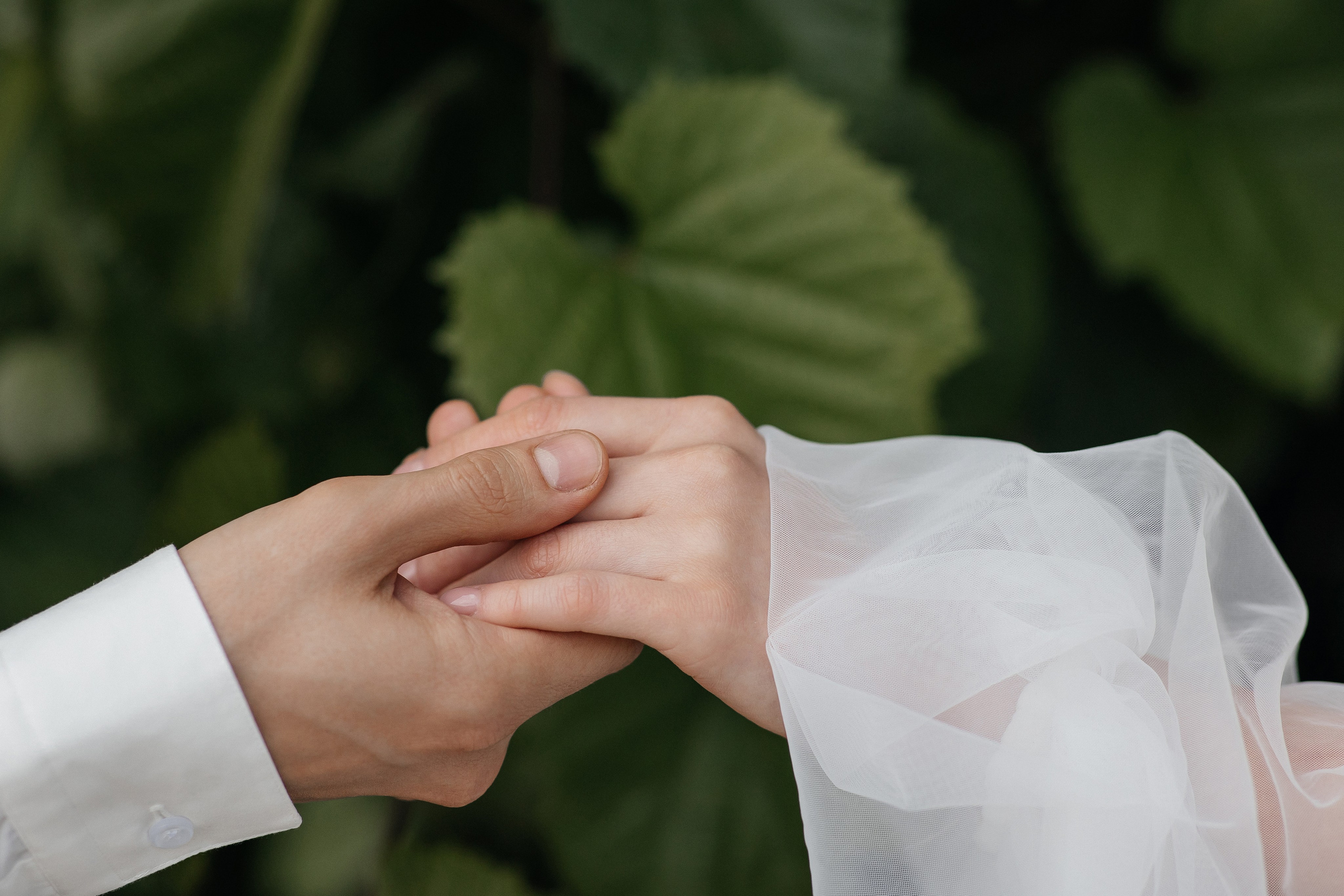 Свадебная фотосессия в Главном Ботаническом саду имени Цицина. Свадебный фотограф в Москве Дарья Олендарёва