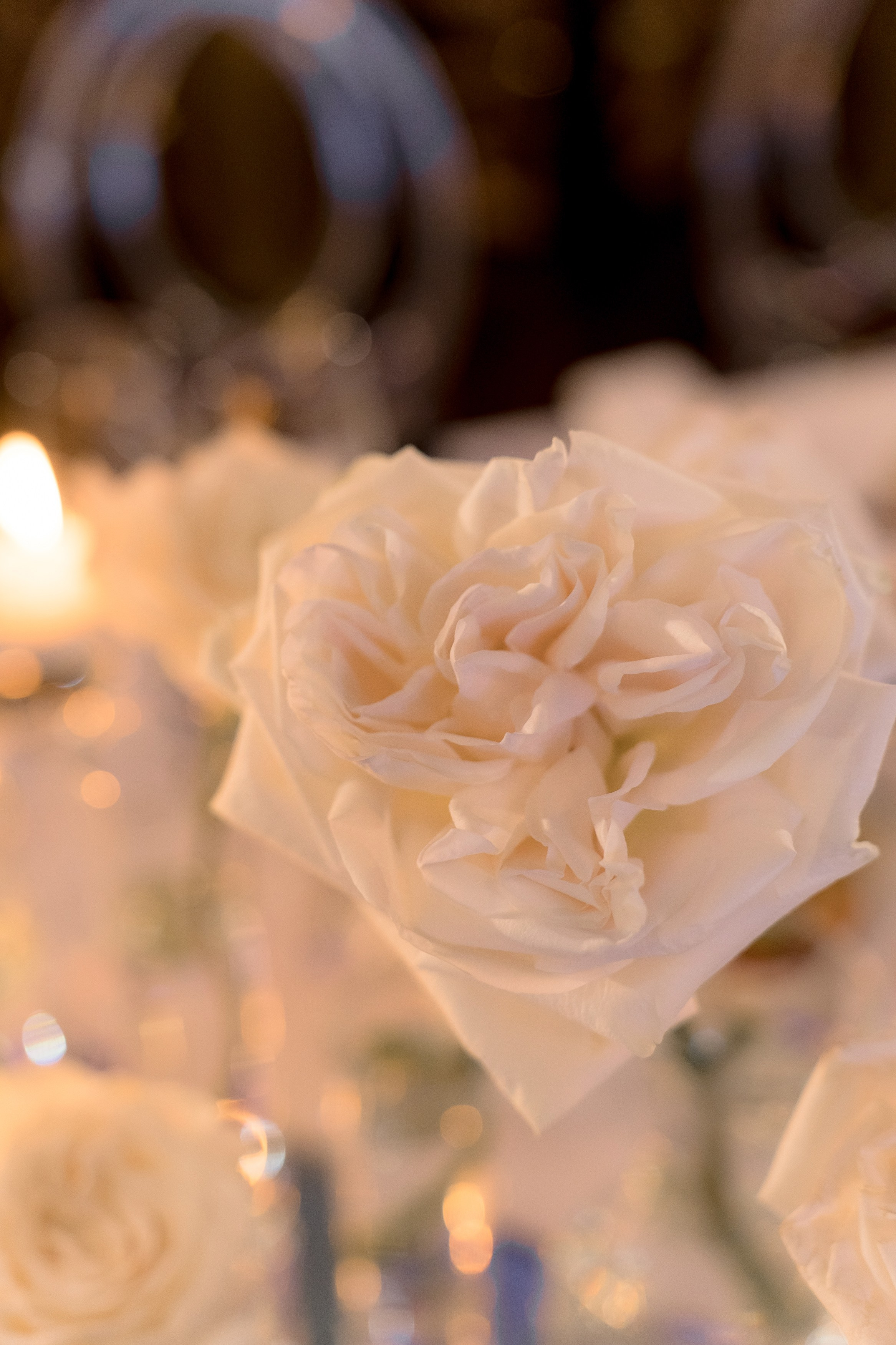 Trezzini Palace. Свадебный фотограф Москва