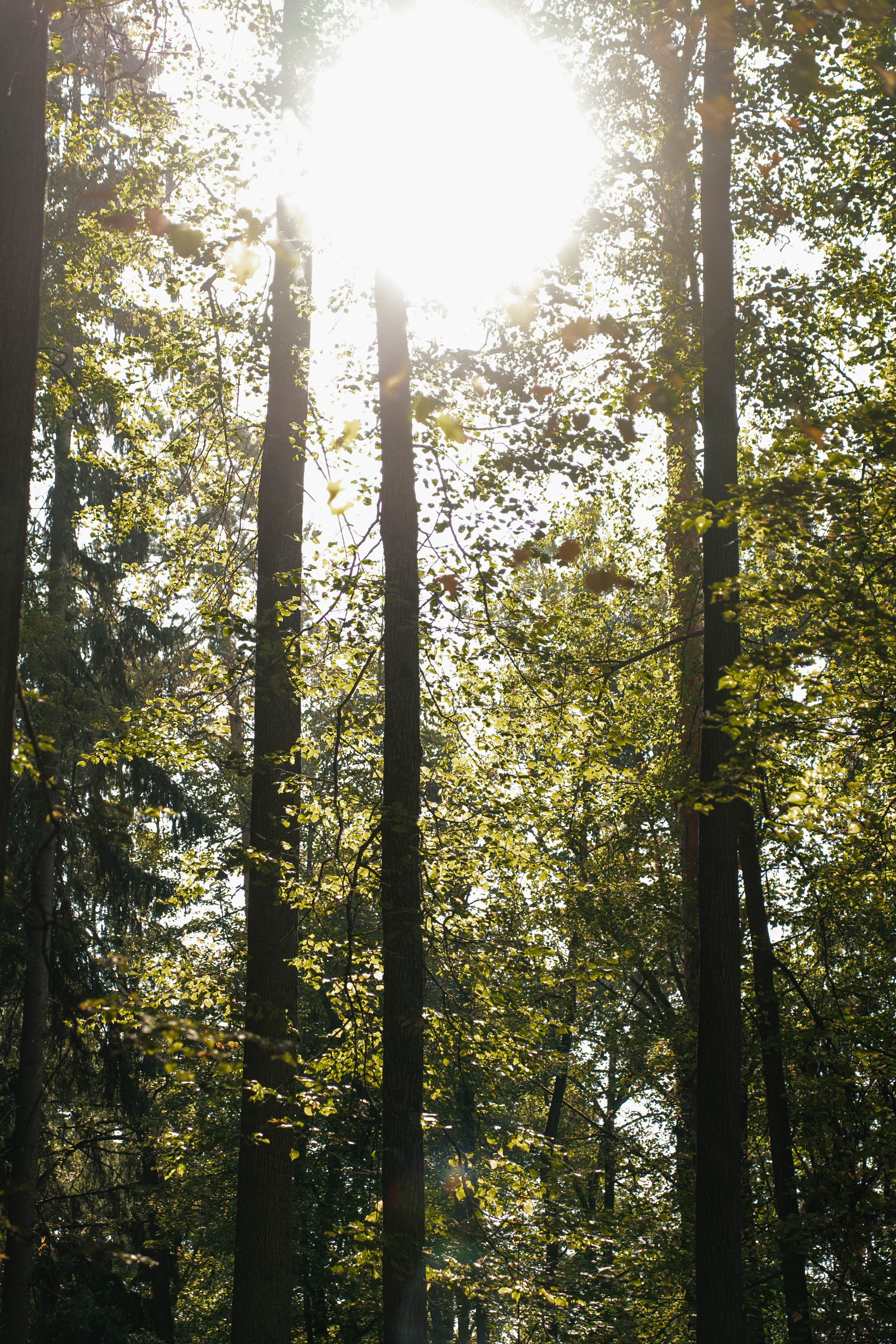 Регистрация в Архангельском | ресторан Дача. Свадебный фотограф Москва Александра Аверкова