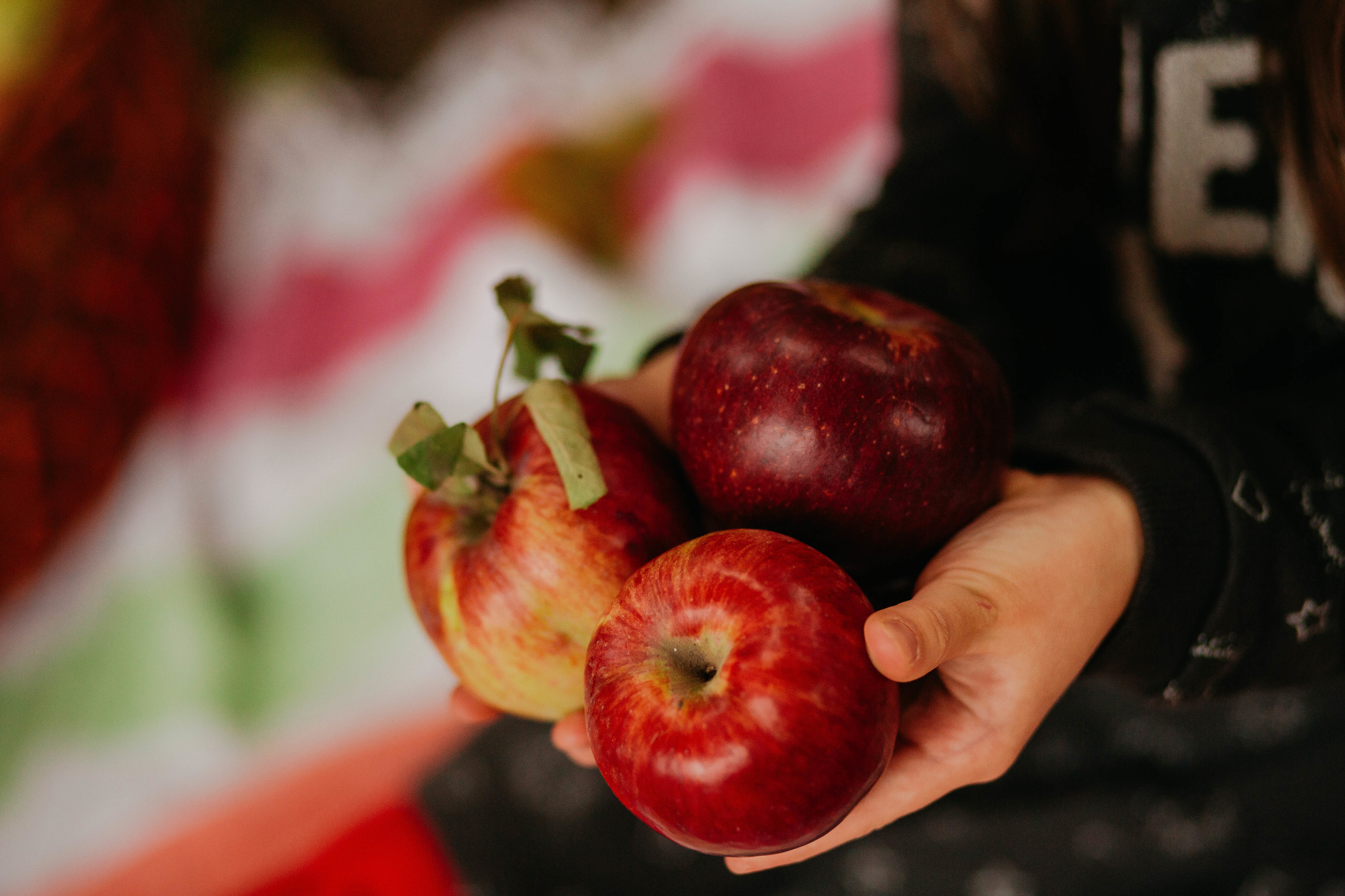 CHILDRENS. Фотостудия SVET в Курске - Фотограф Светлана Кобелева