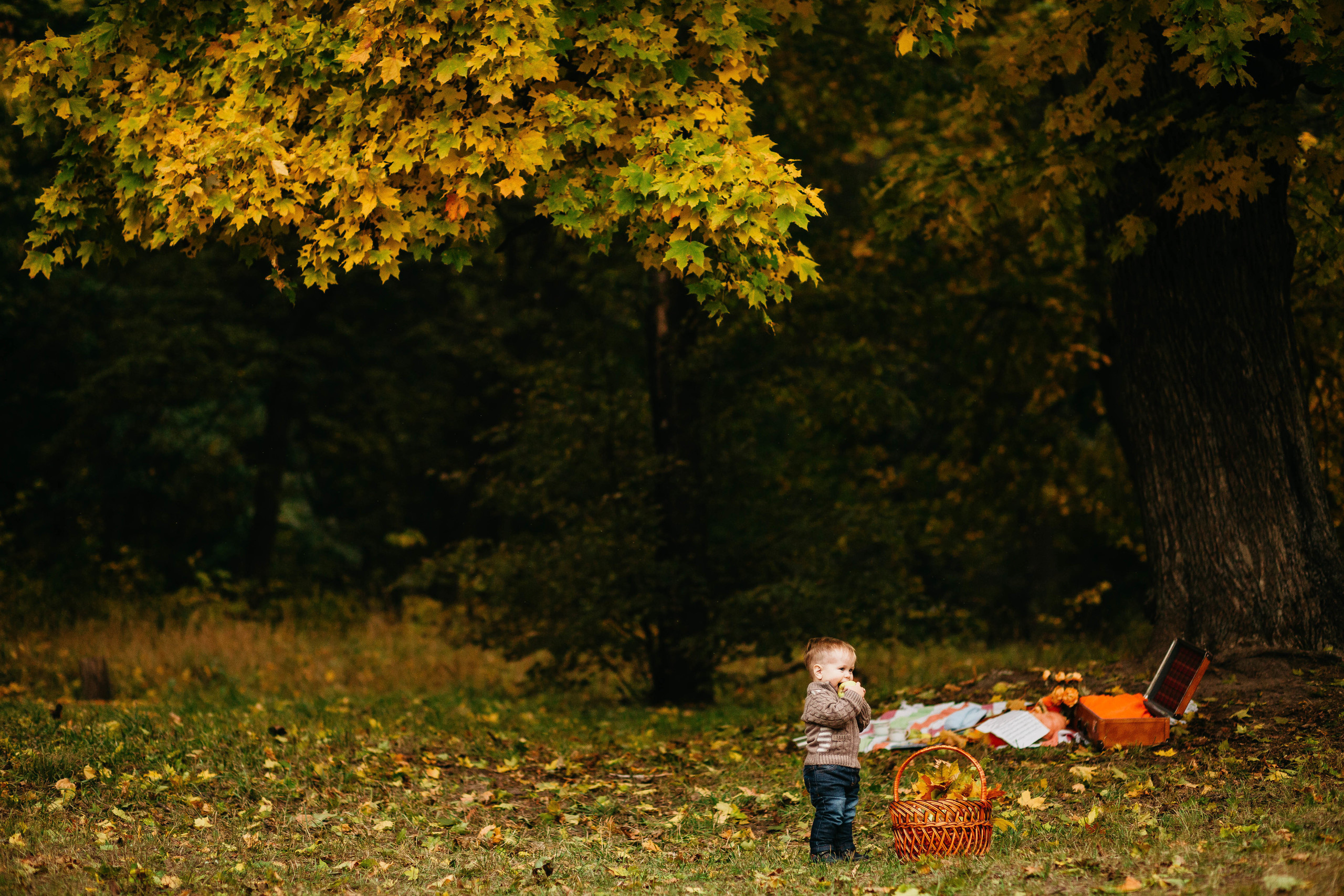 CHILDRENS. Фотостудия SVET в Курске - Фотограф Светлана Кобелева