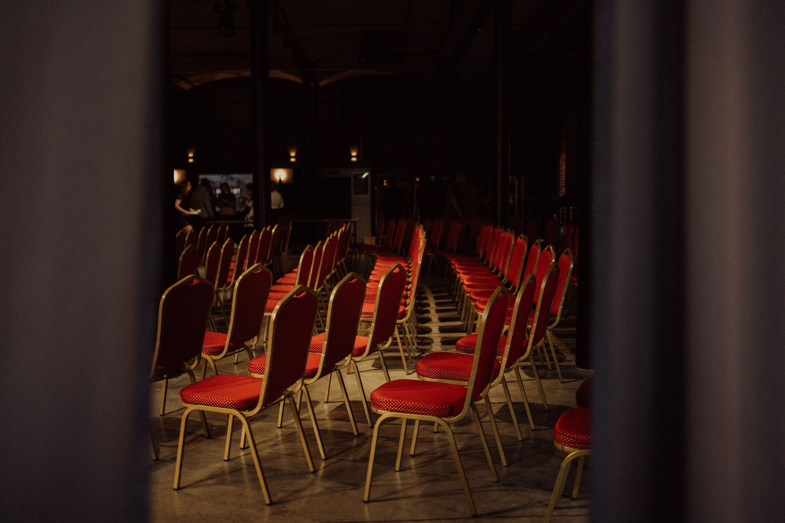 CBcon. Фотограф анималист в Москве Майорова Евгения