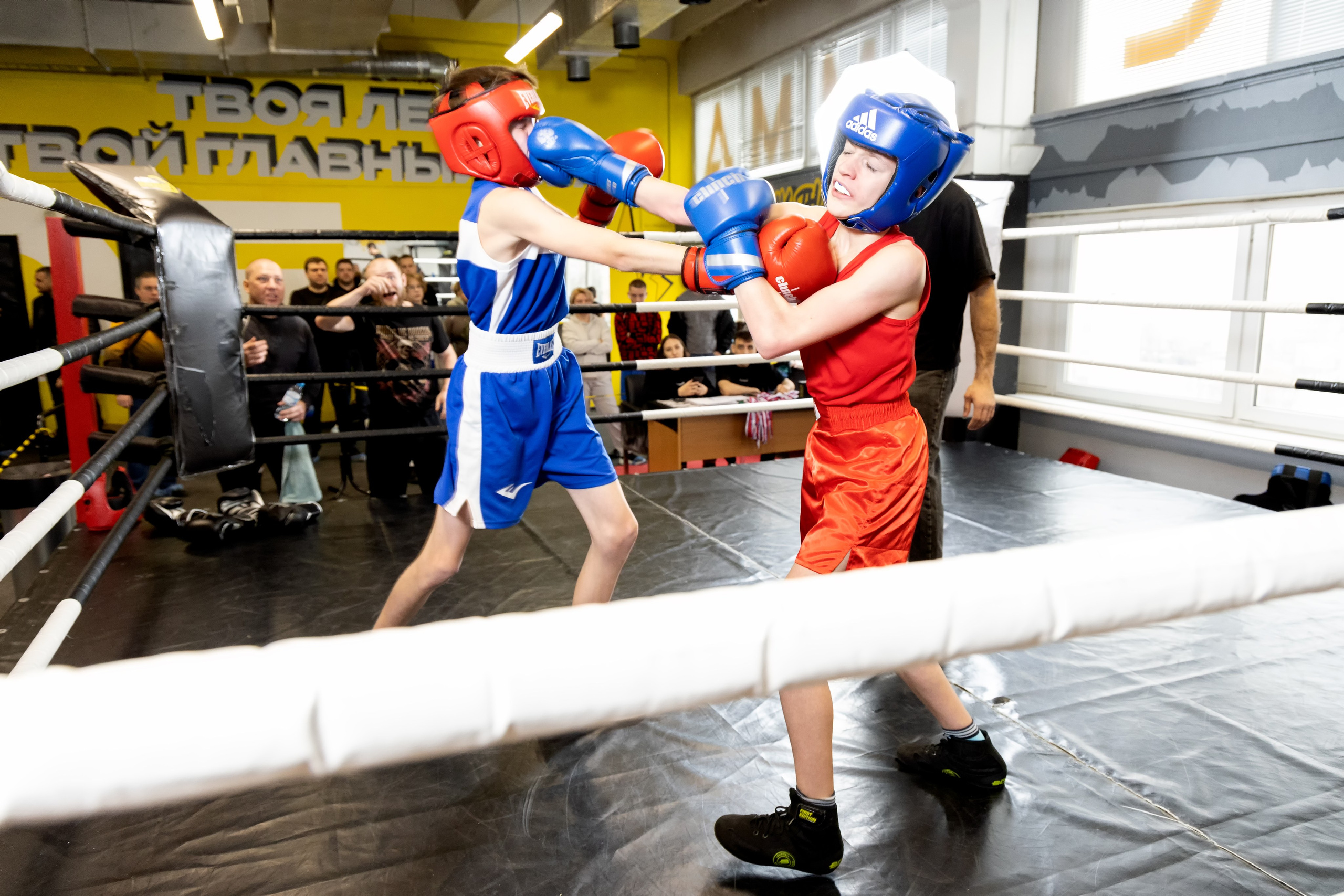 Бокс. Photomantis