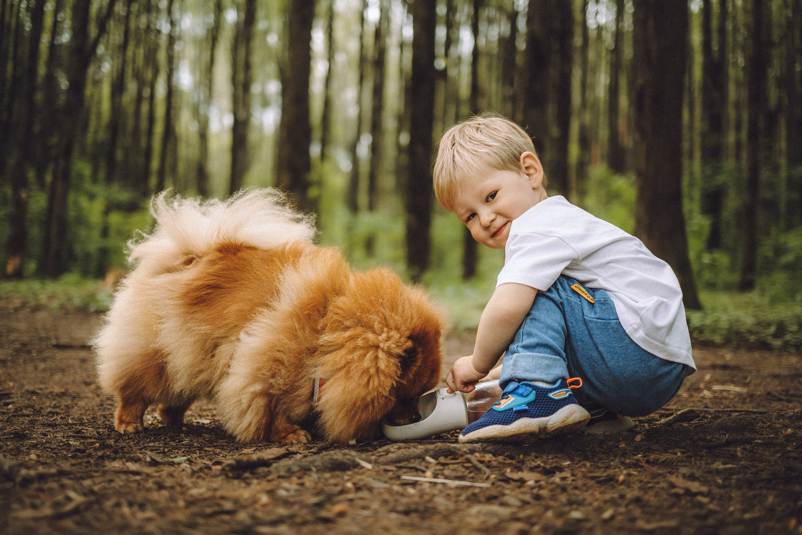 Лорик и его семья