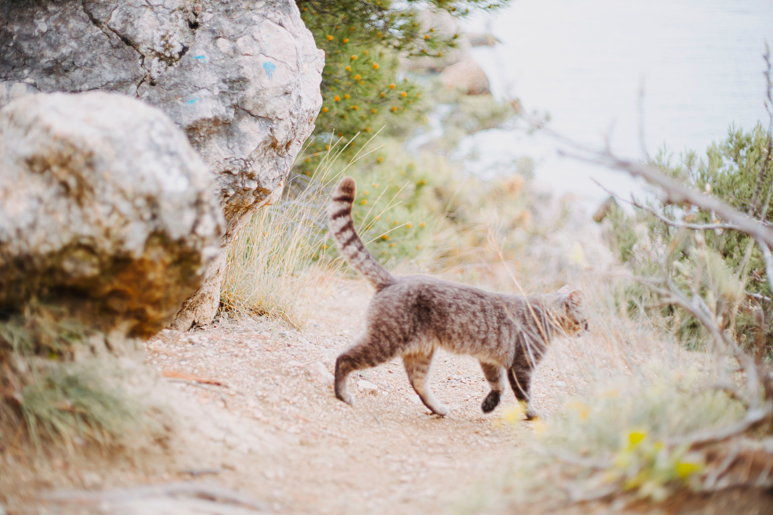 МореНебоОблака. Ваш портретный фотограф в Москве Катя Прокофьева