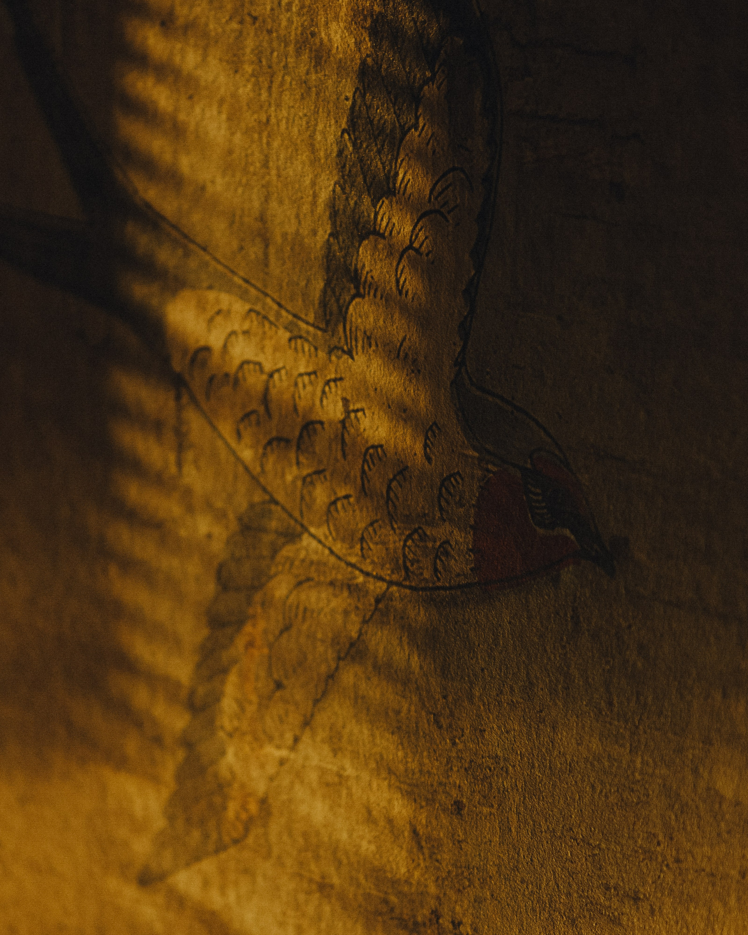 1. Свадебный фотограф @alexandradmitrievaph