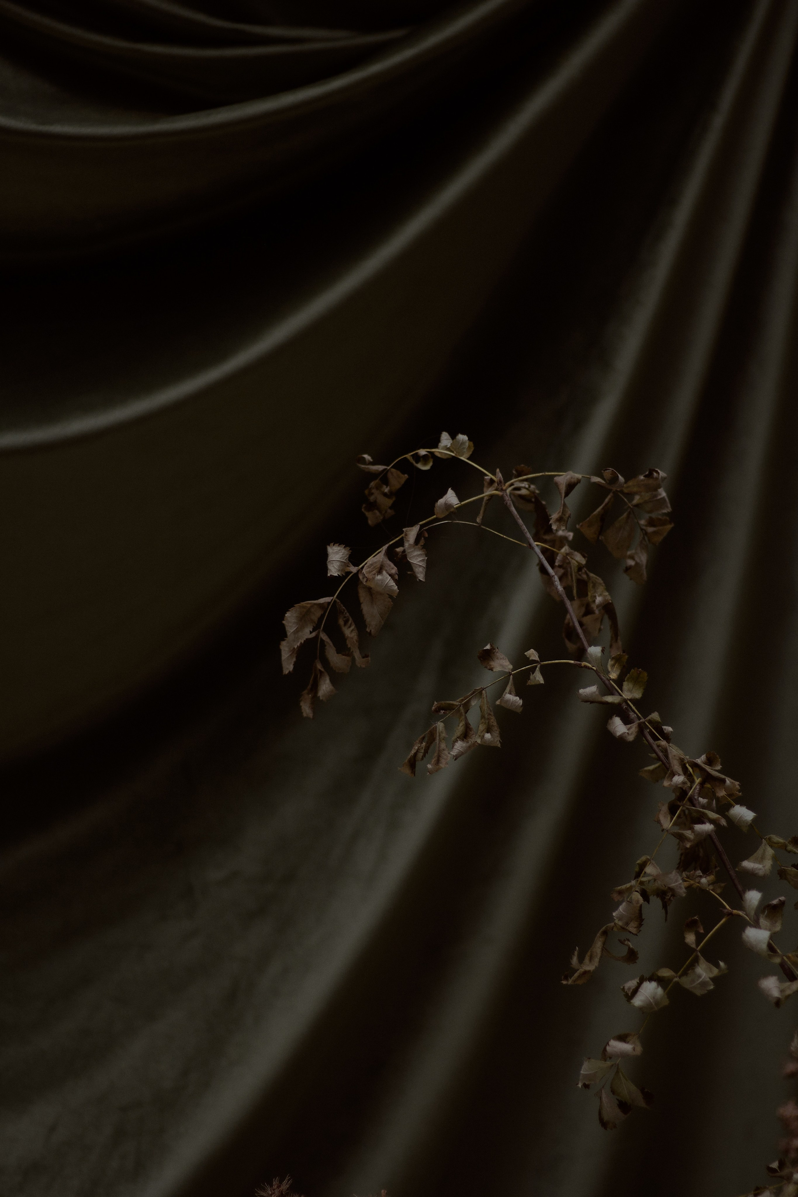 Стеклянная Оранжерея. Фотограф лавстори Москва/МО Приятелева Ангелина