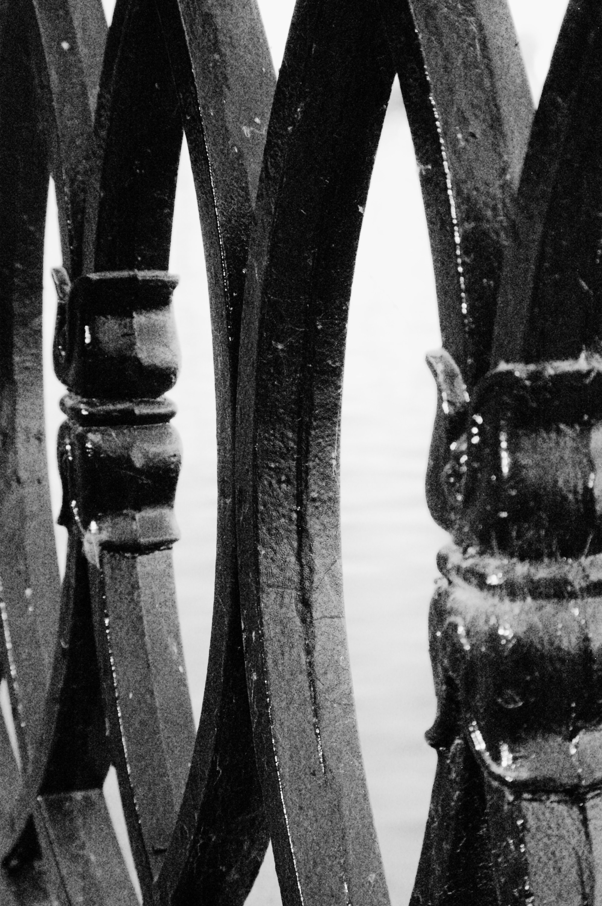 Moments. Juliarubis.com